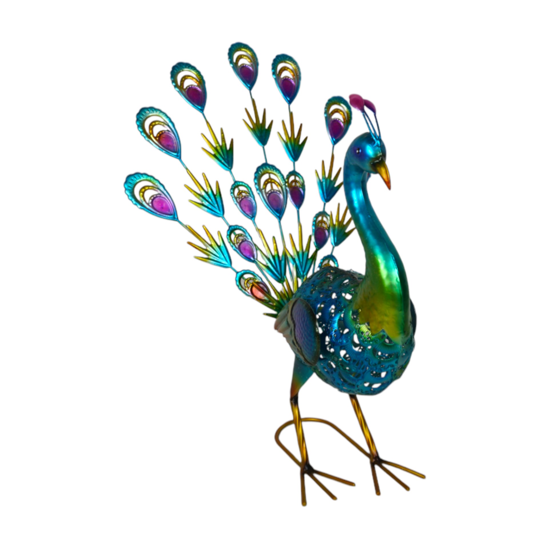 Darstellung von Pfau farbenfroh z. Stellen