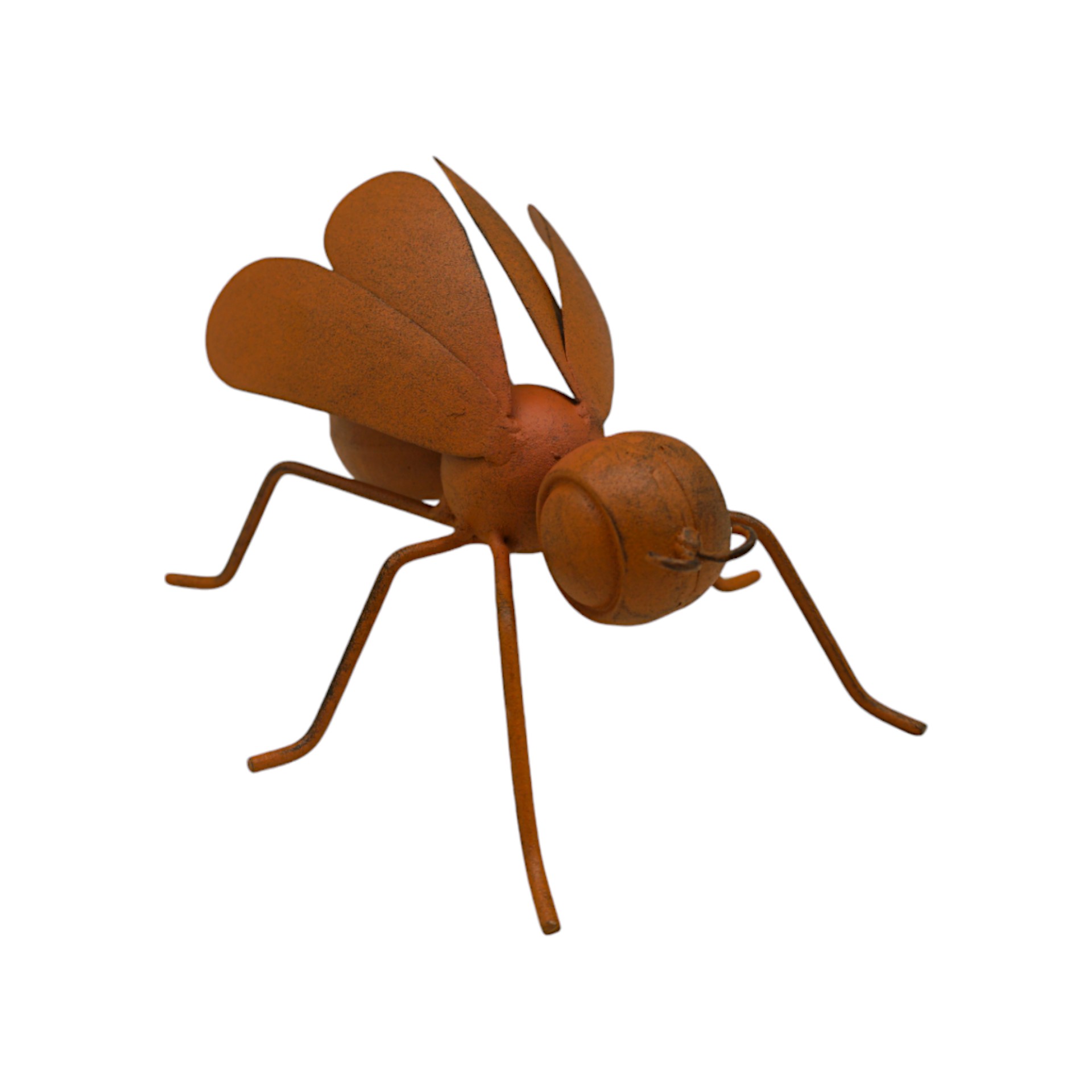 Darstellung von Fliege rost z. Stellen