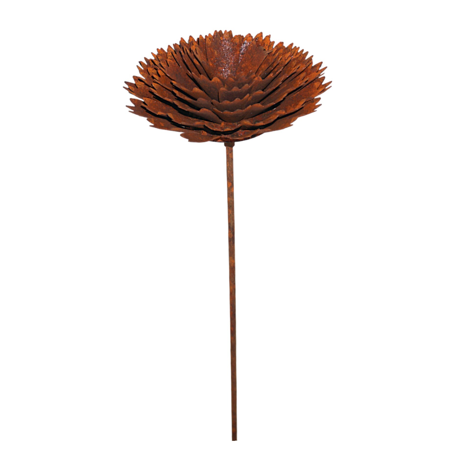 Darstellung von Dalie a. Stab rost d=22 cm, h= 149 cm