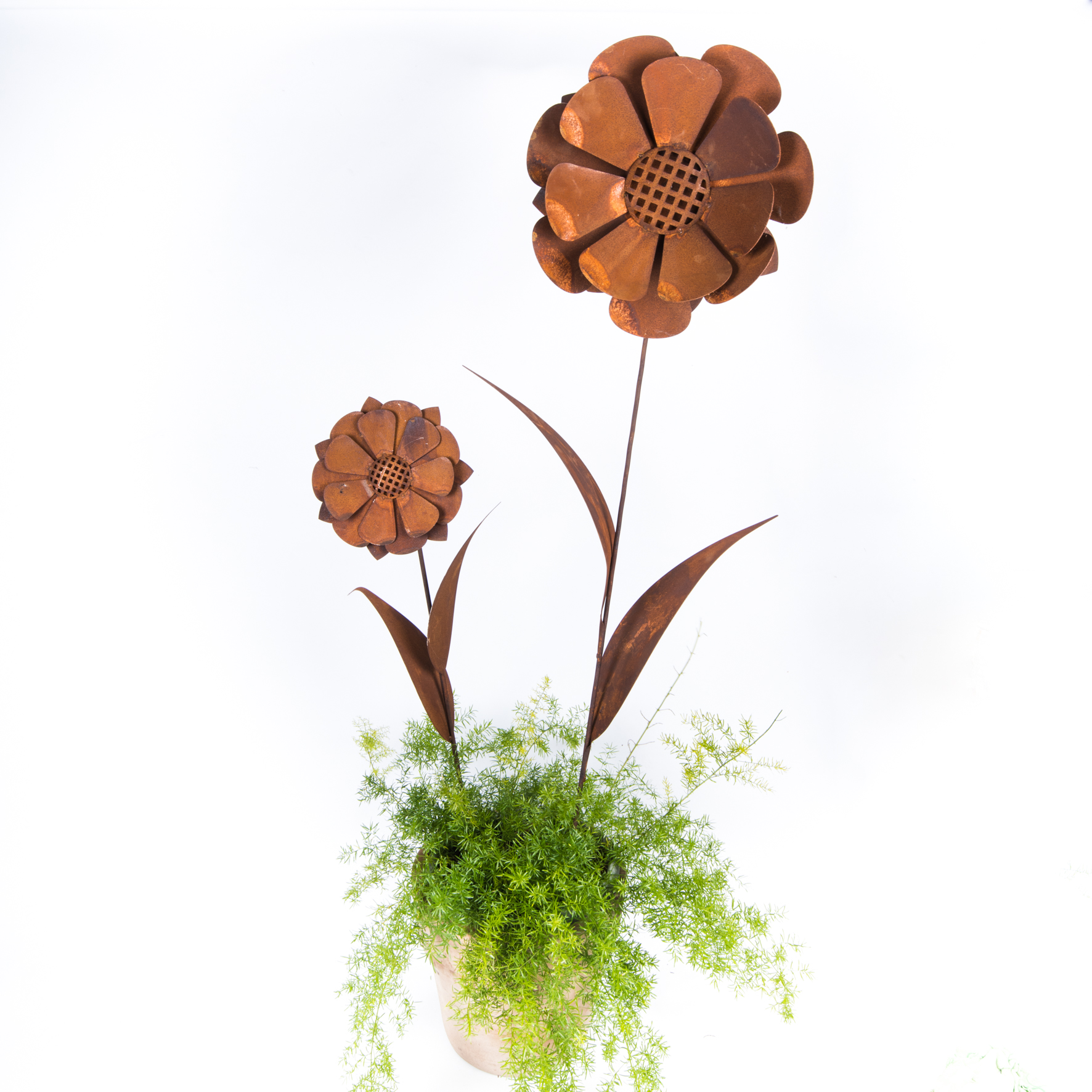 Darstellung von Sonnenblume z. Stecken mittel