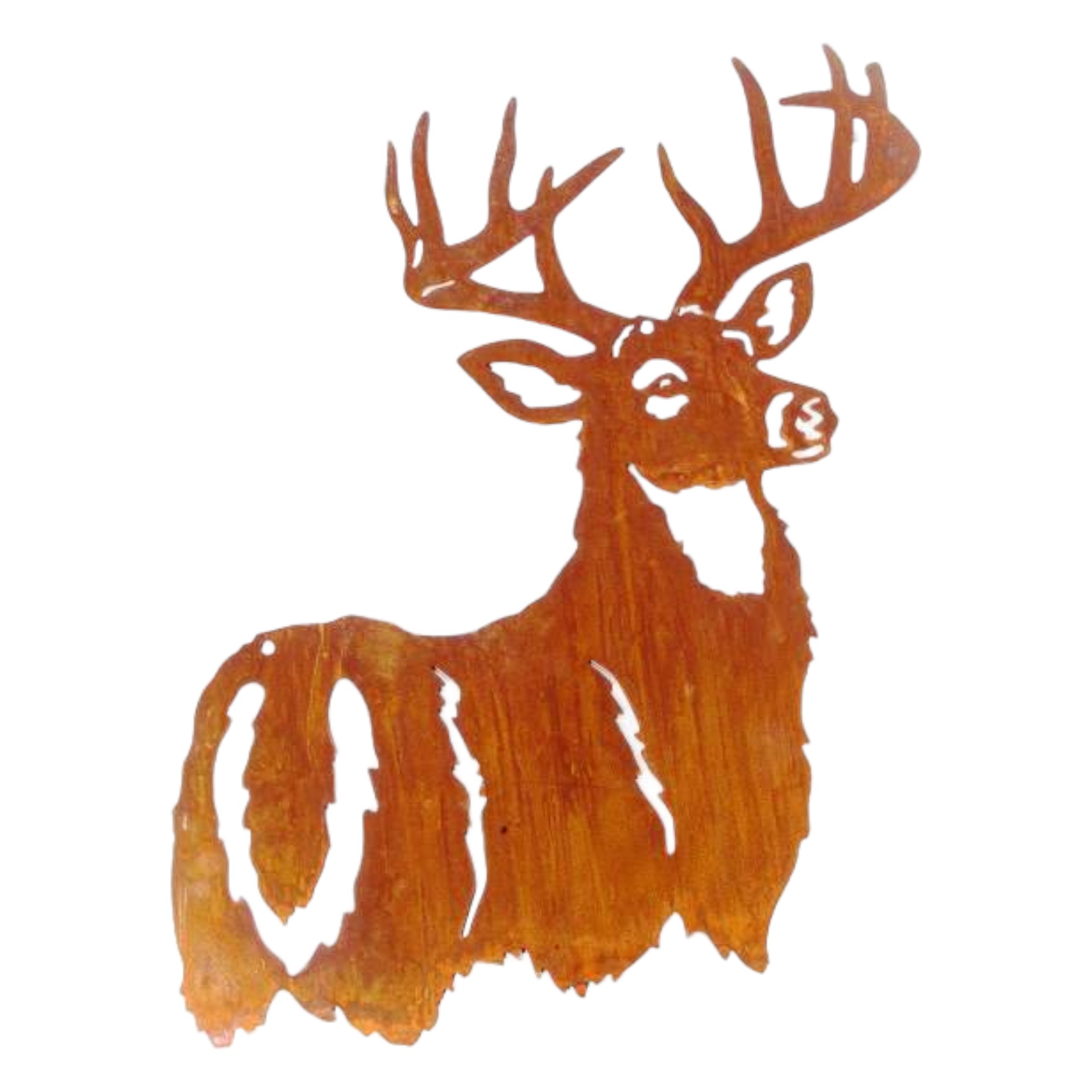 Darstellung von Hirsch gross zum Hängen 40x66 cm