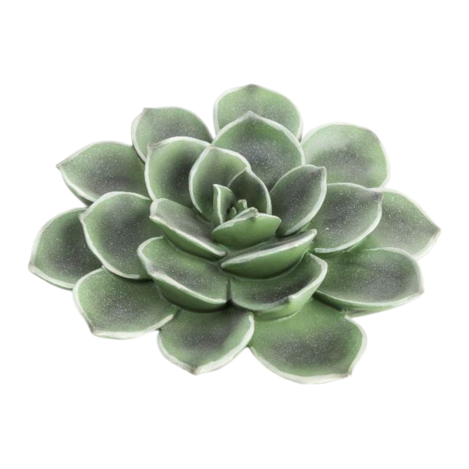 Darstellung von RP Kaktus gross z. Hängen/Stellen