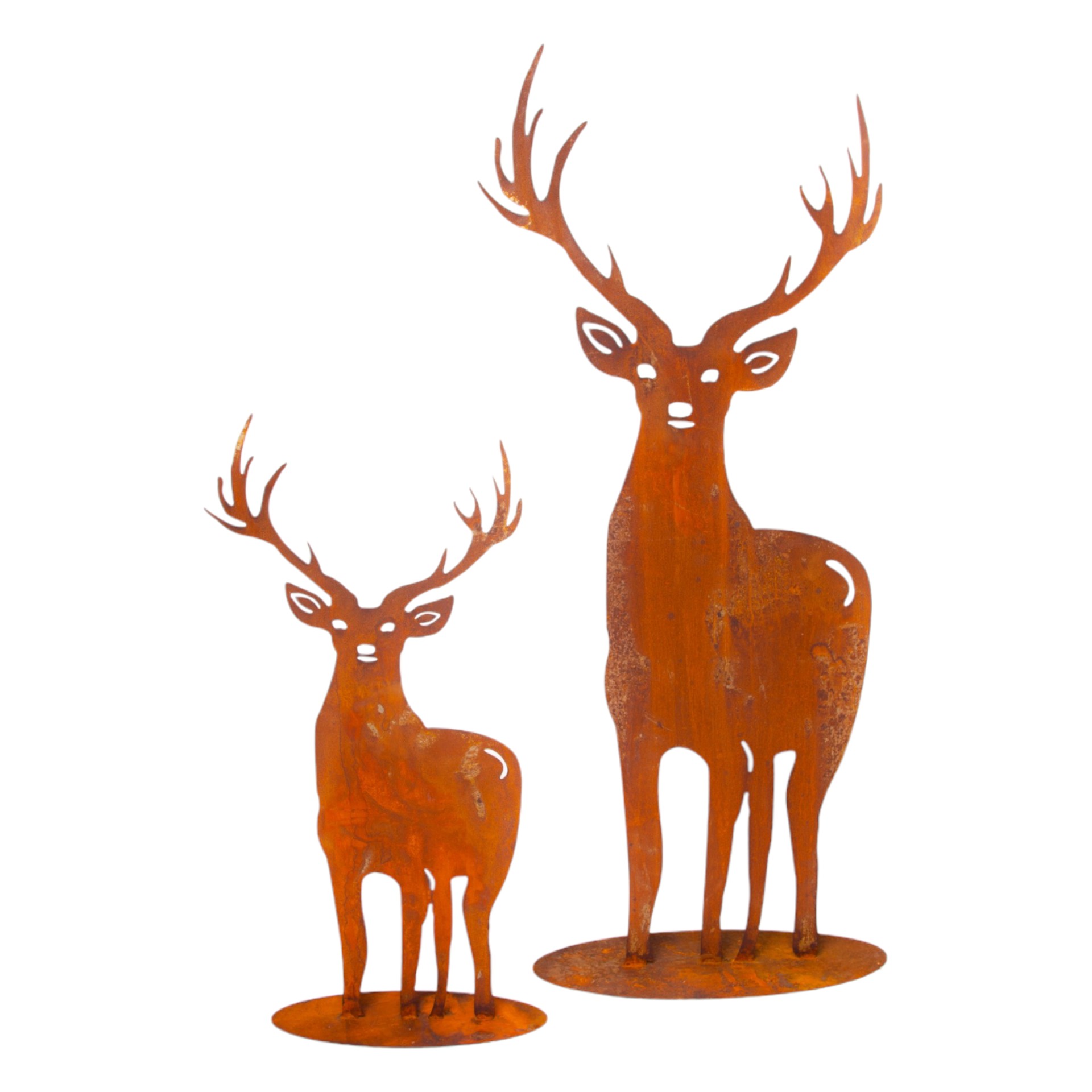 Darstellung von Hirsch schlank XL