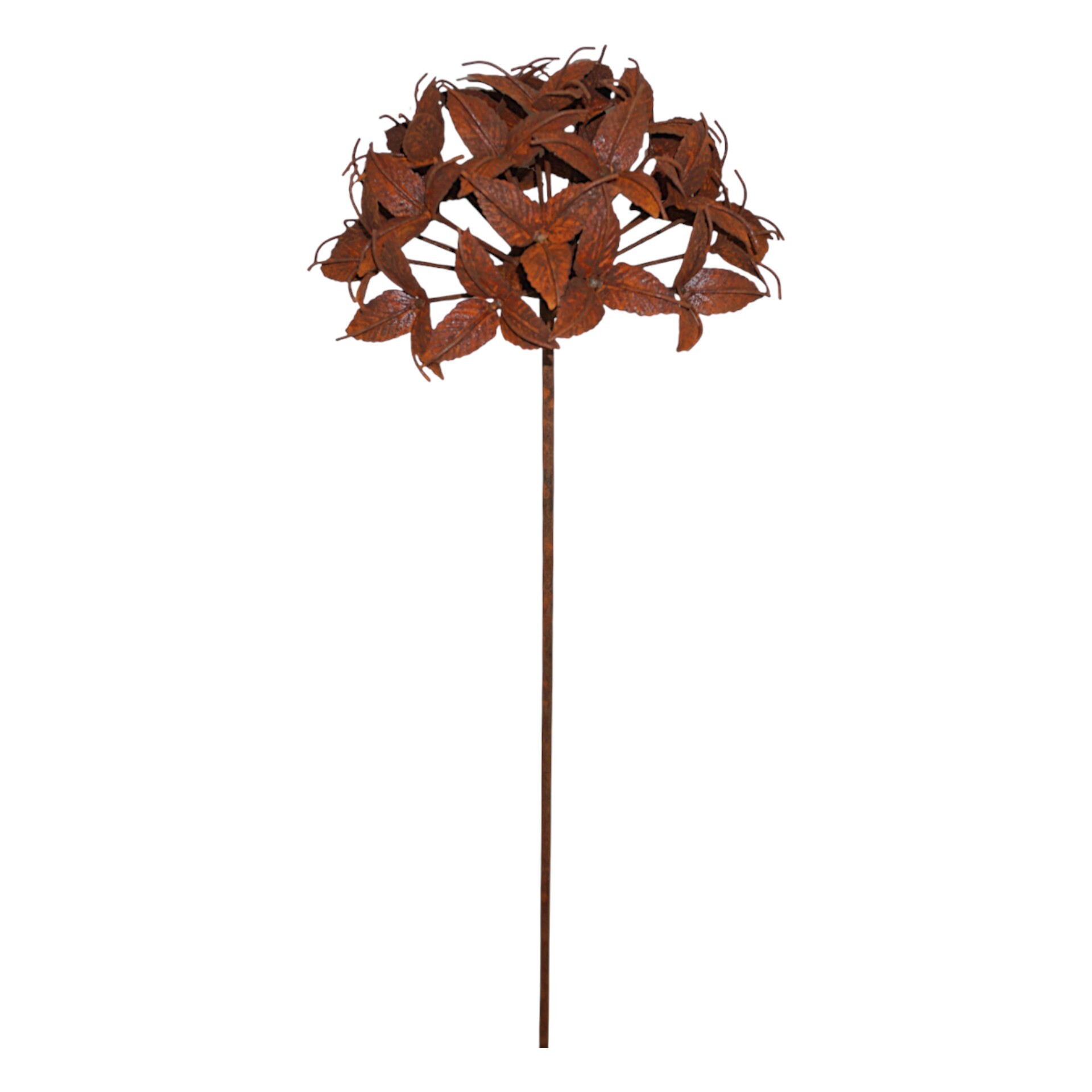 Darstellung von Blume Tiger Lily rost a. Stab