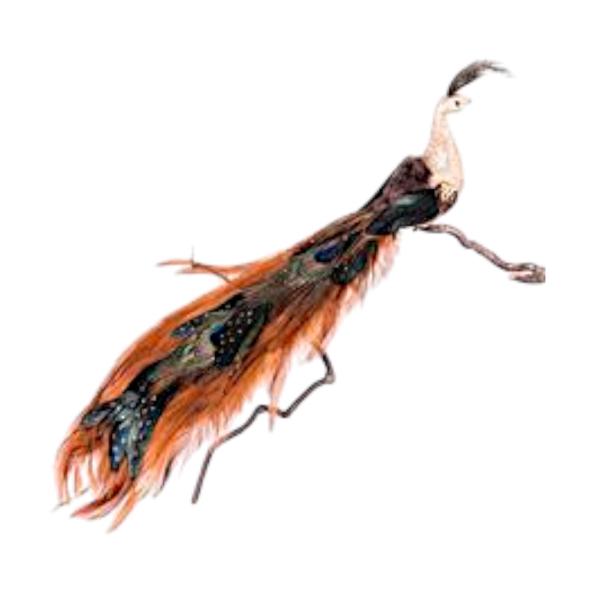 Darstellung von Vogel gross bronze m. Clip l= 45 cm