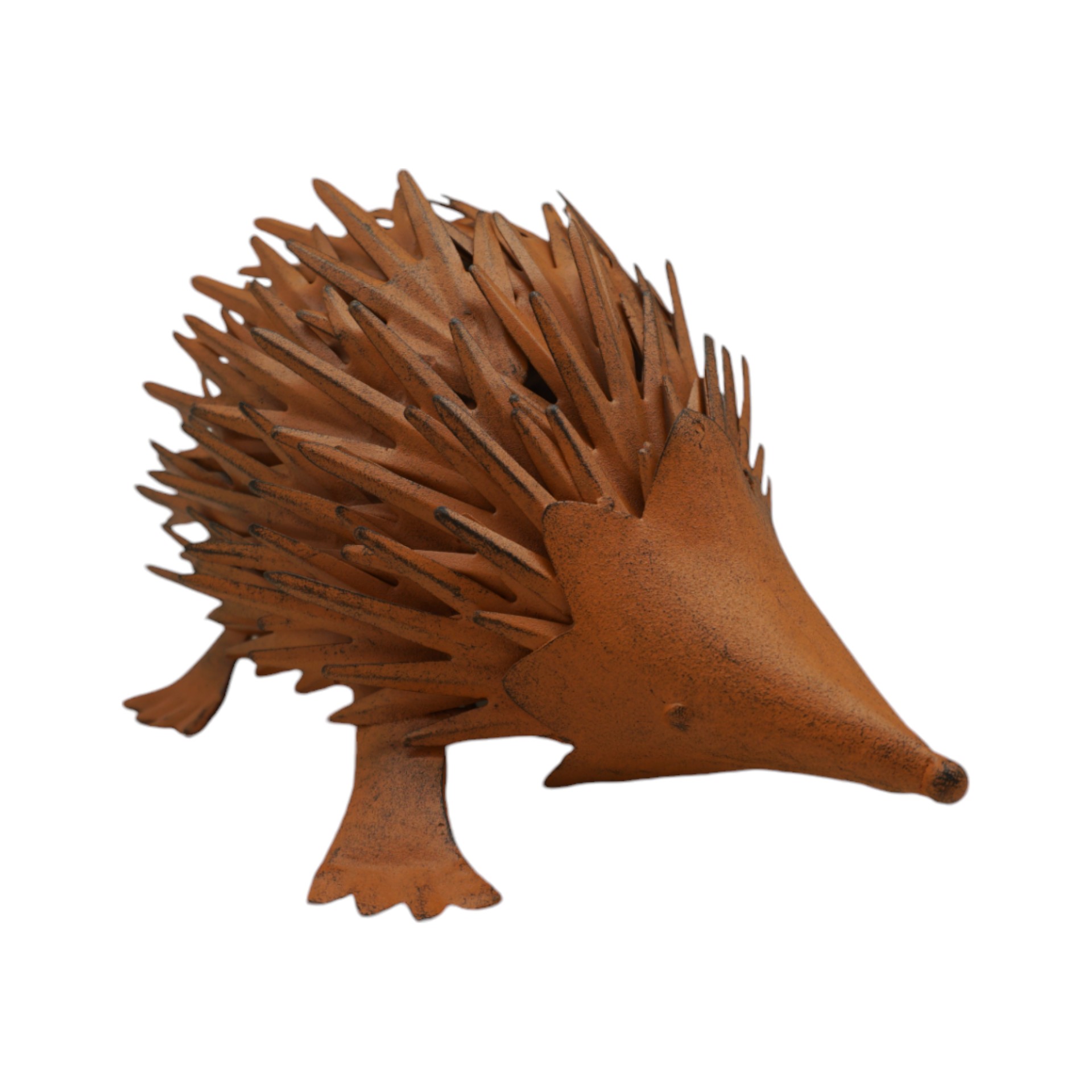 Darstellung von Igel spitz rost