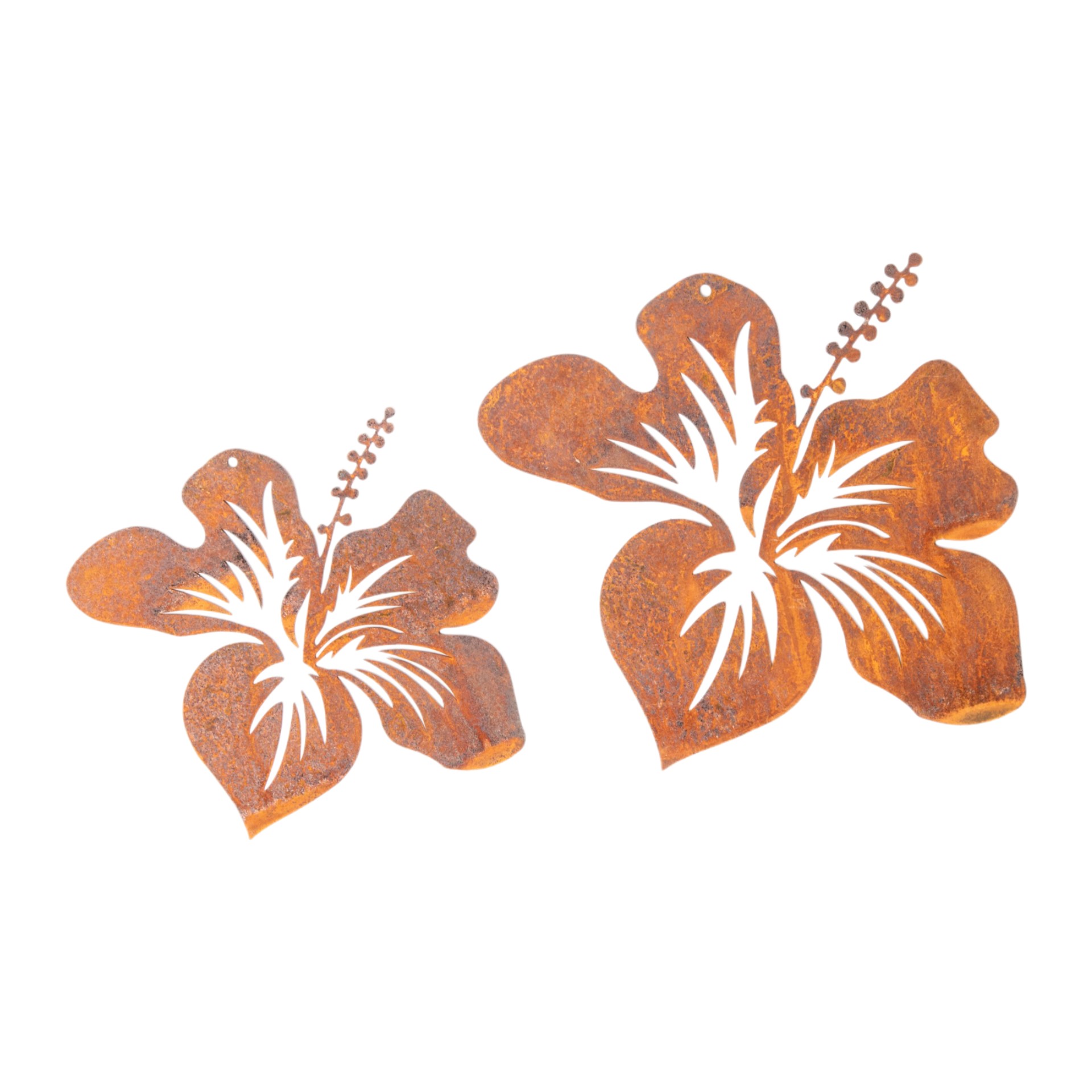 Darstellung von Hibiskus mittel zum Hängen