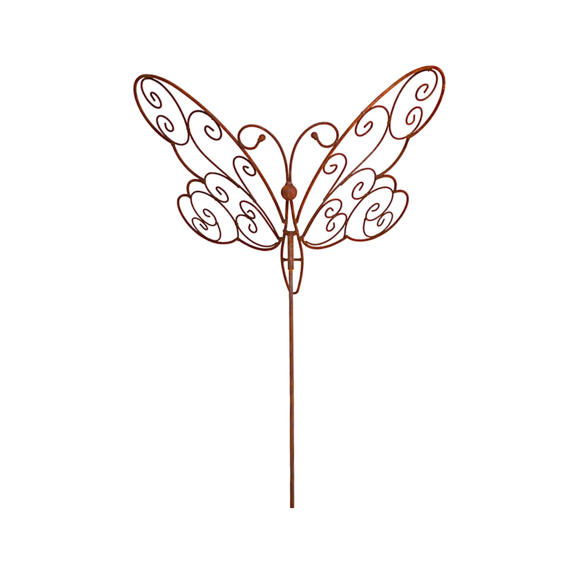 Darstellung von Schmetterling a. Stab 61 x 46 cm, 160 cm