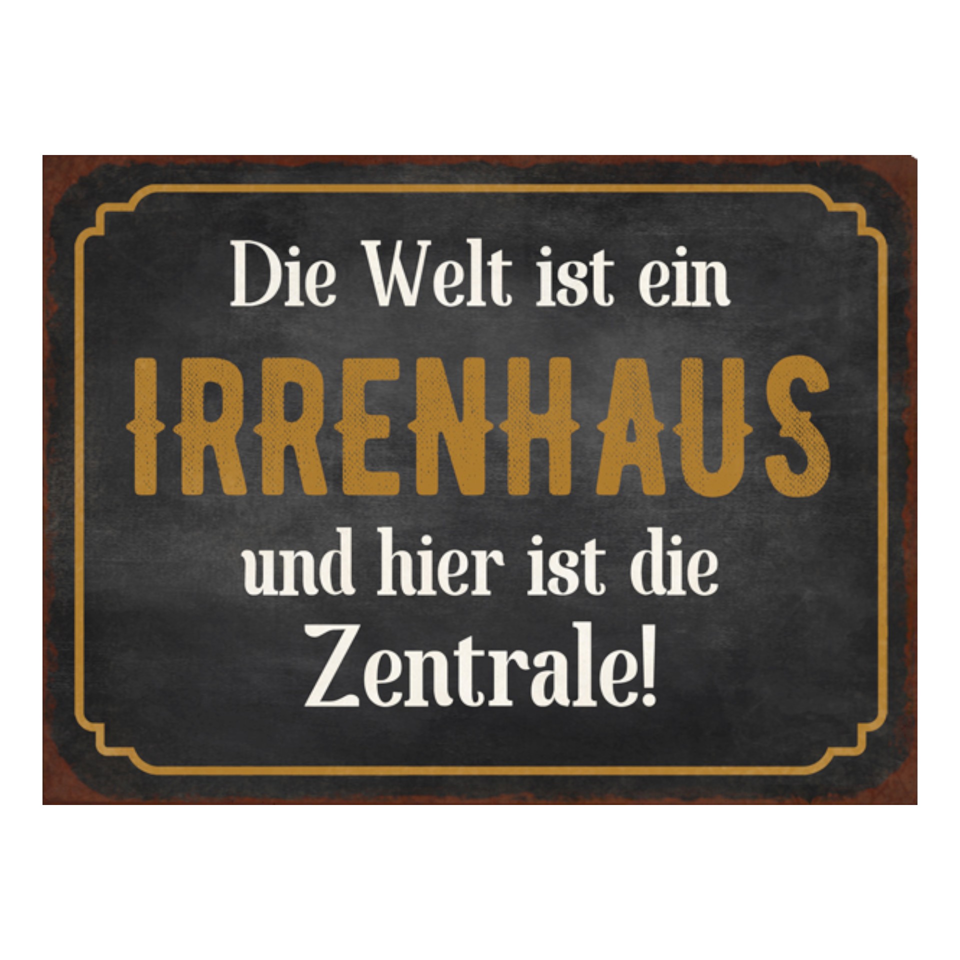 Darstellung von RP Schild „die Welt ist ein Irrenhaus” 20x15 cm