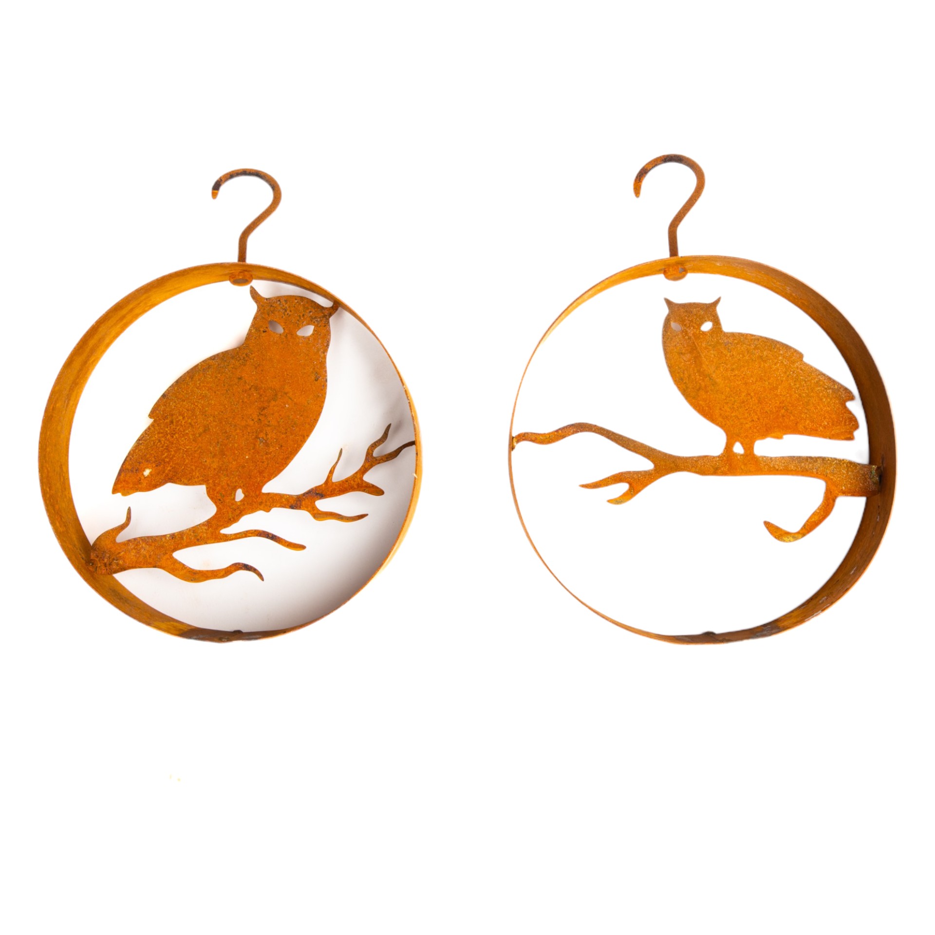 Darstellung von RP Ring mit Eule klein