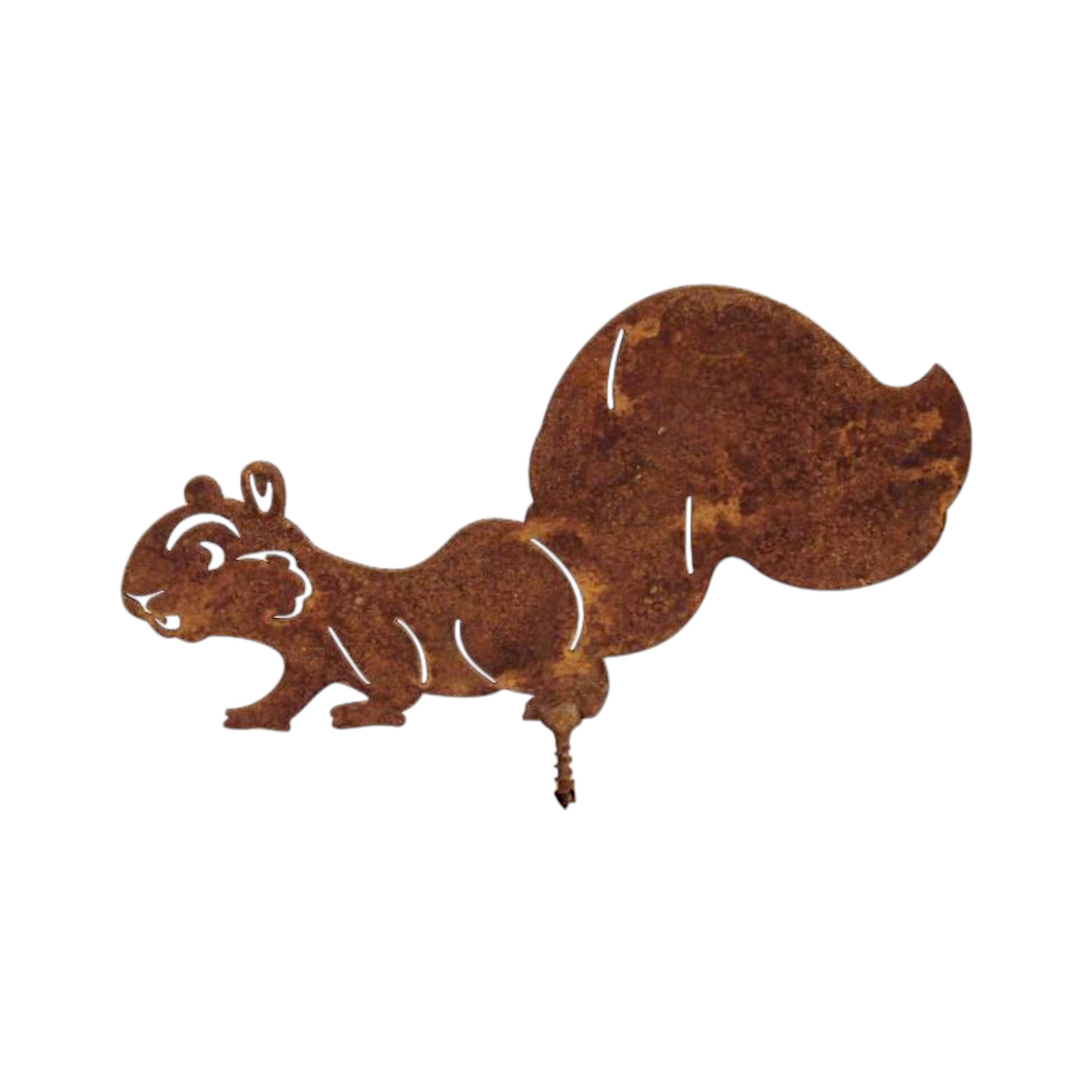 Darstellung von Eichhörnchen laufend m. Dorn ROST