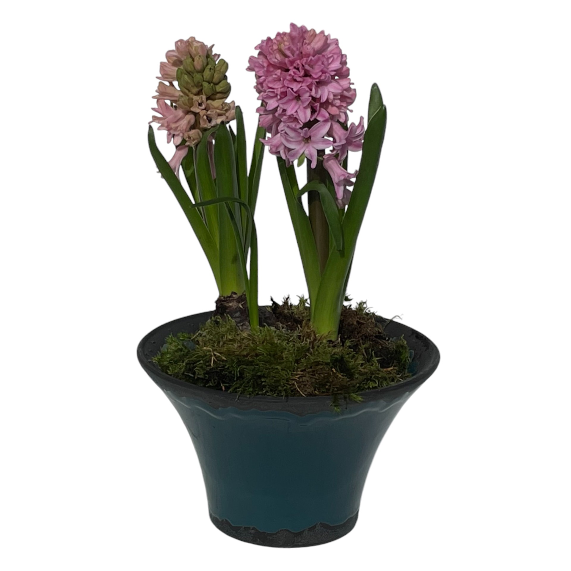 Darstellung von RP Schale PETROL 21x11 cm