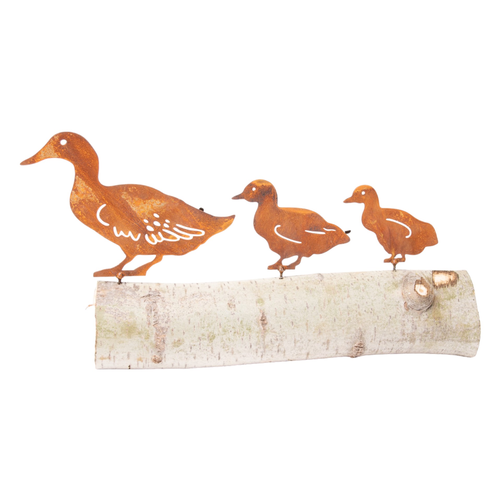 Darstellung von Entenküken mit Dorn, 12x9 cm