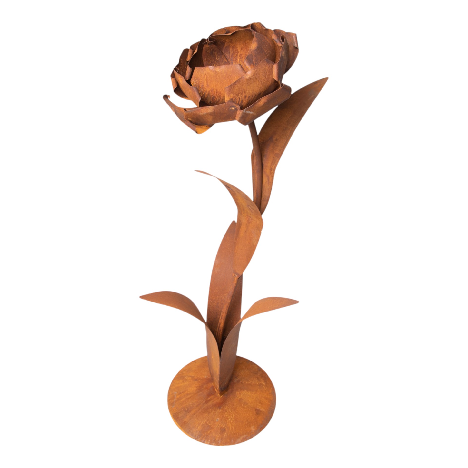 Darstellung von einfach Rose mit 1 Blüte zum Bepflanzen auf Platte