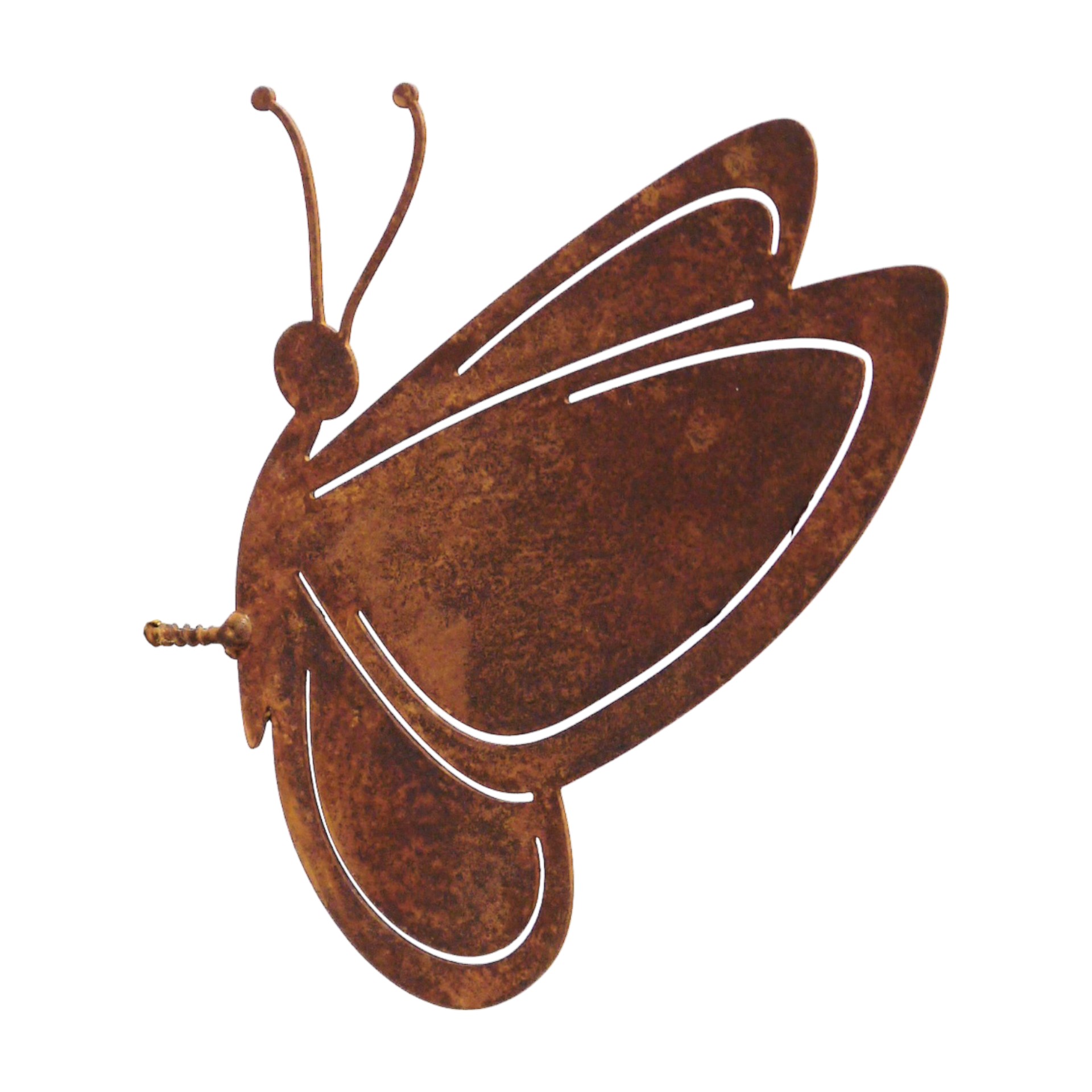 Darstellung von Schmetterling m. Dorn rost klein