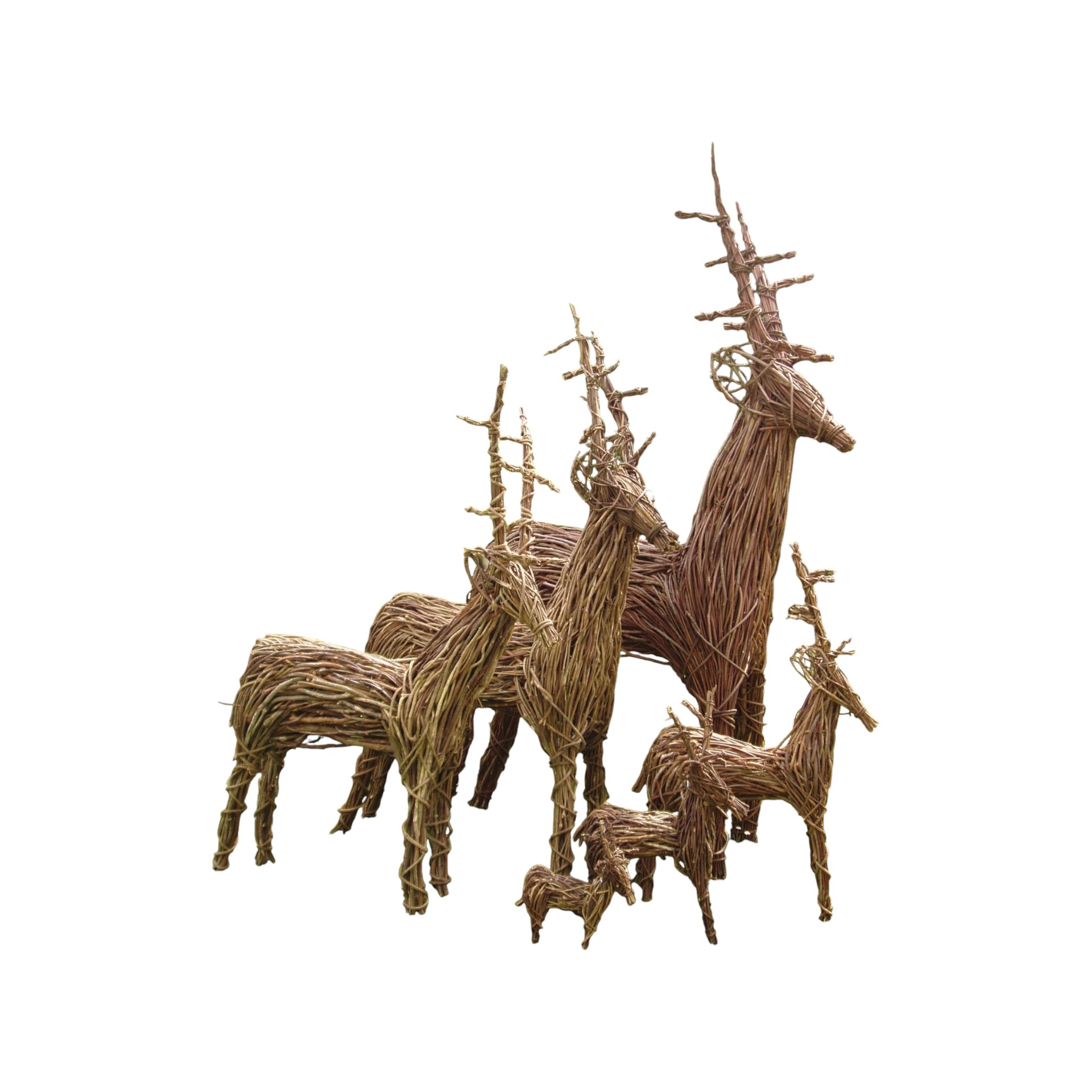 Darstellung von Hirsch mittel h=90 cm