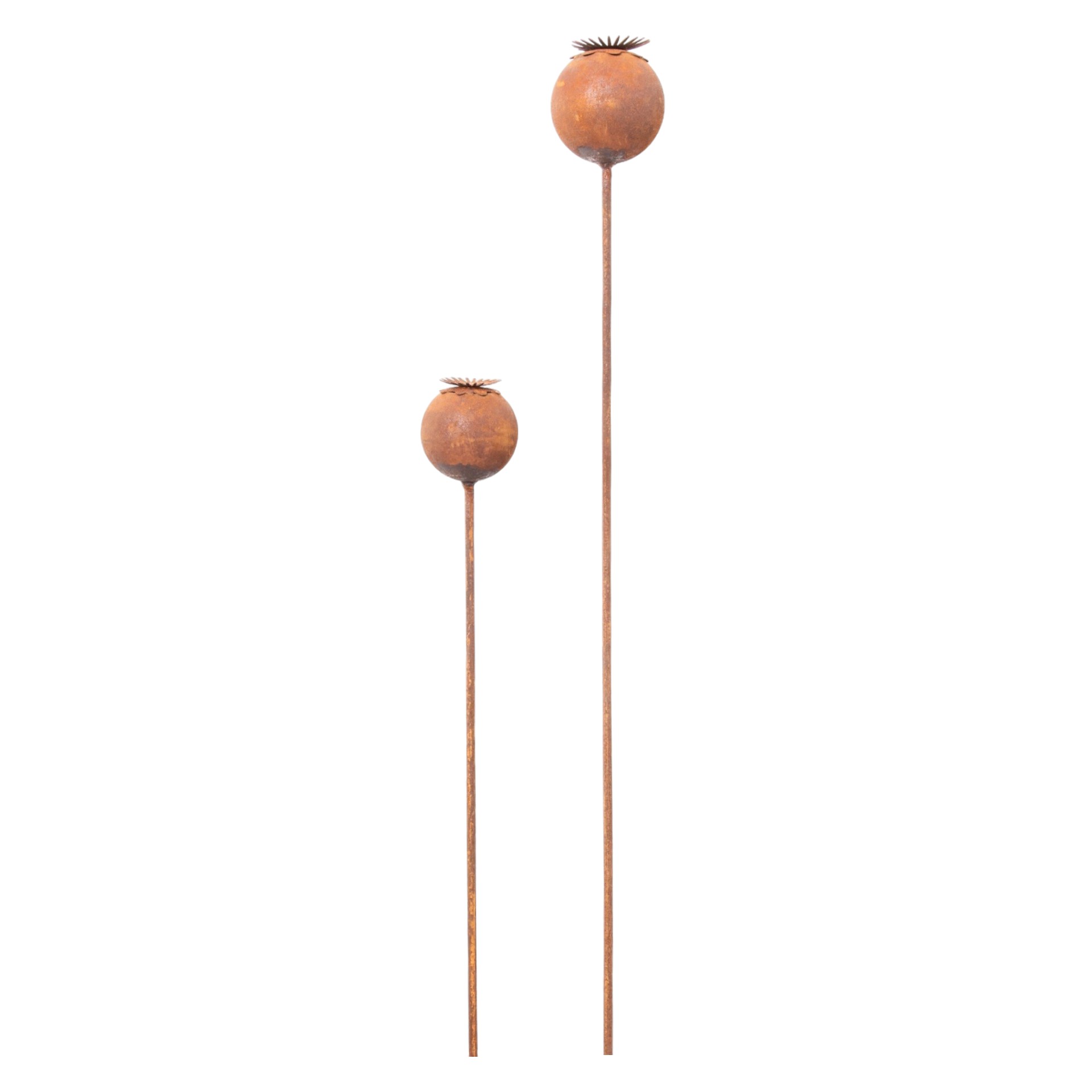 Darstellung von Mohnkapsel klein auf Stab