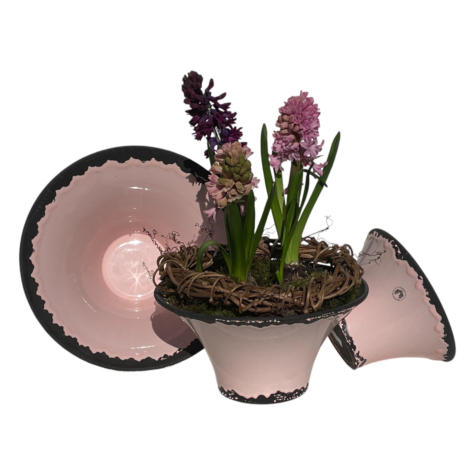 Darstellung von RP Schale ROSA 32x16 cm