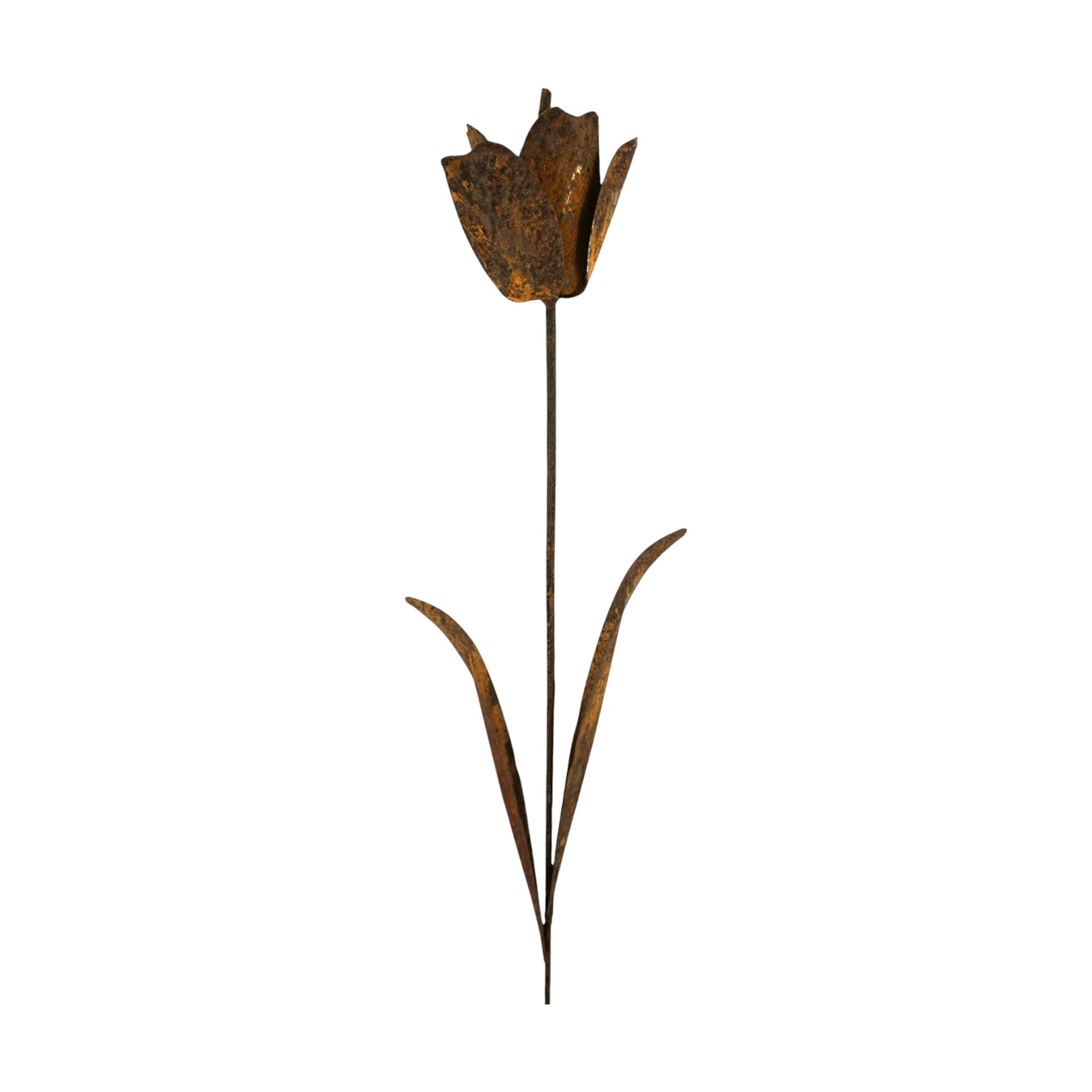Darstellung von Tulpe z. Stecken rost, h= 144 cm, b= 17 cm