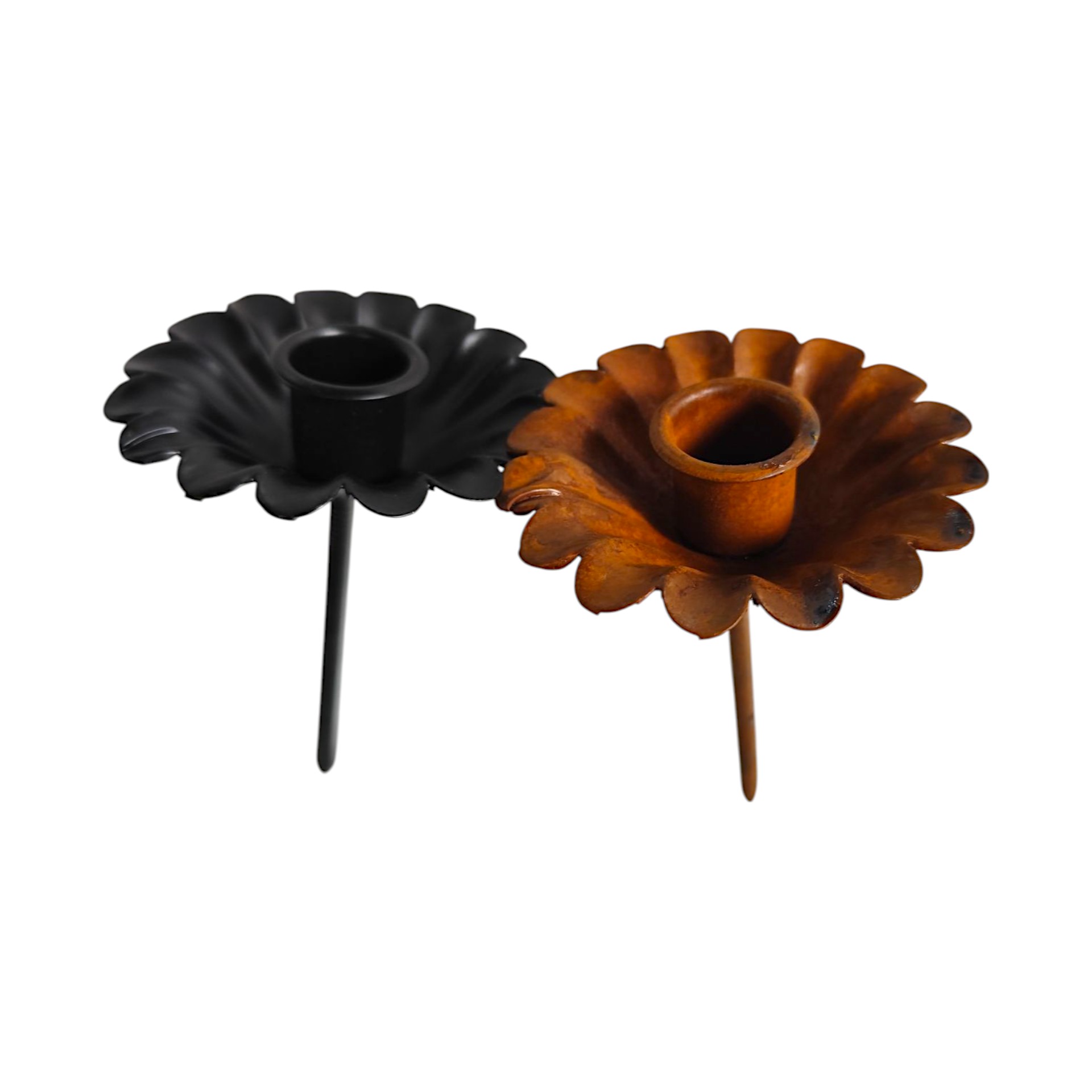 Darstellung von Kerzenh. Blume rost a. Pin