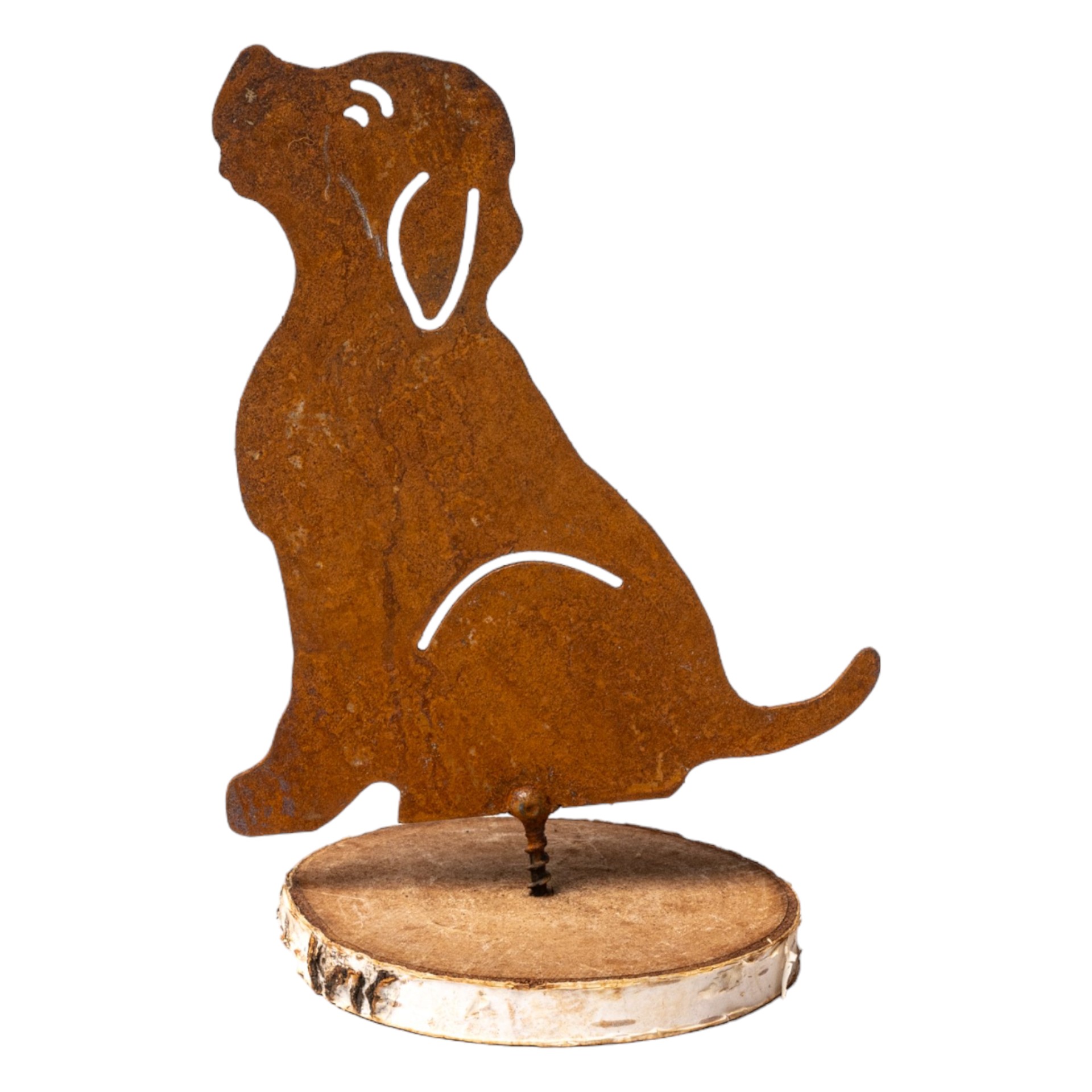 Darstellung von Hund mit Dorn sitzend