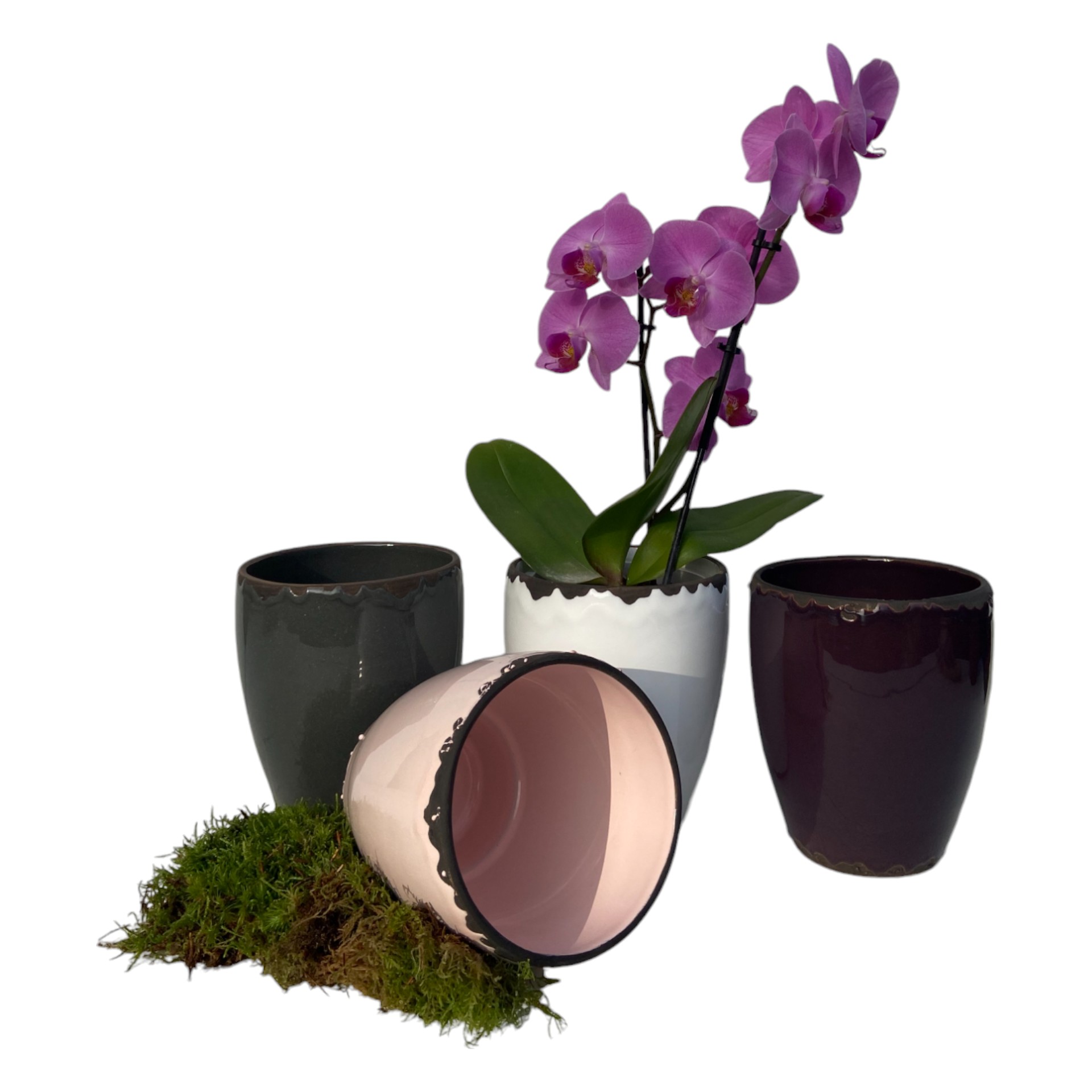 Darstellung von RP Orchideentopf ROSA 13x16 cm