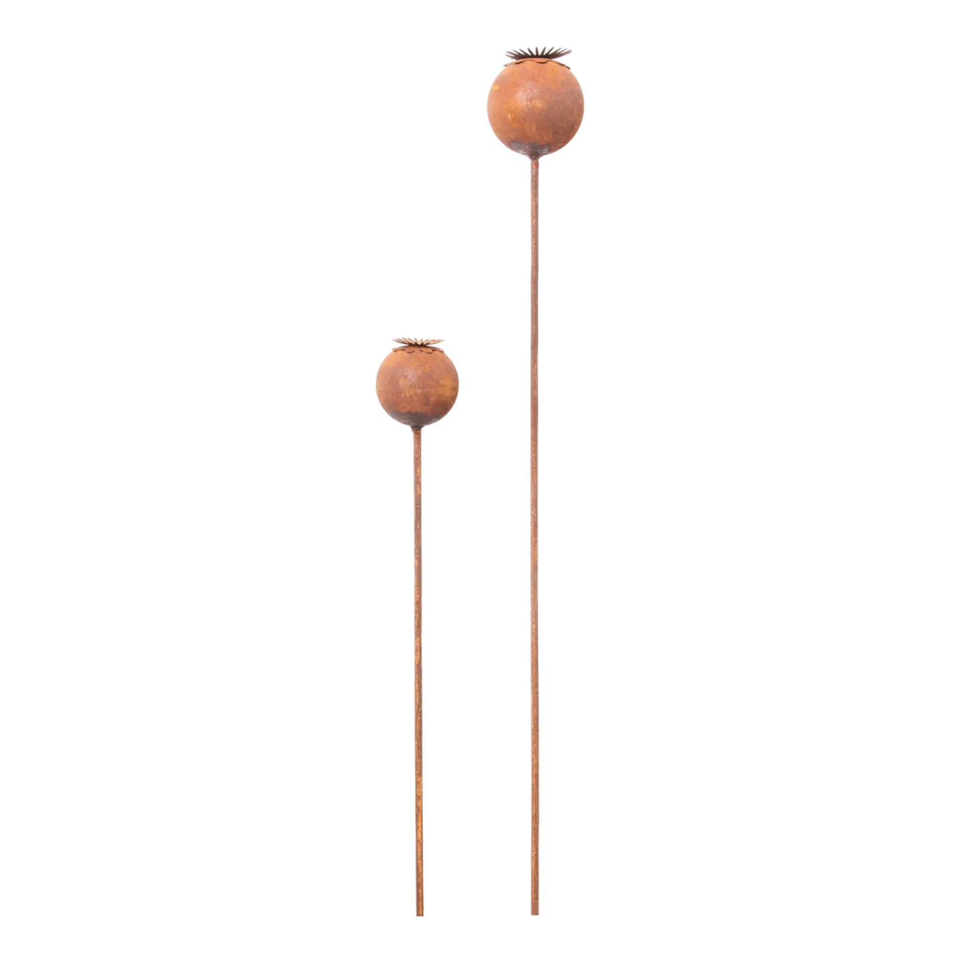 Darstellung von Mohnkapsel mittel auf Stab