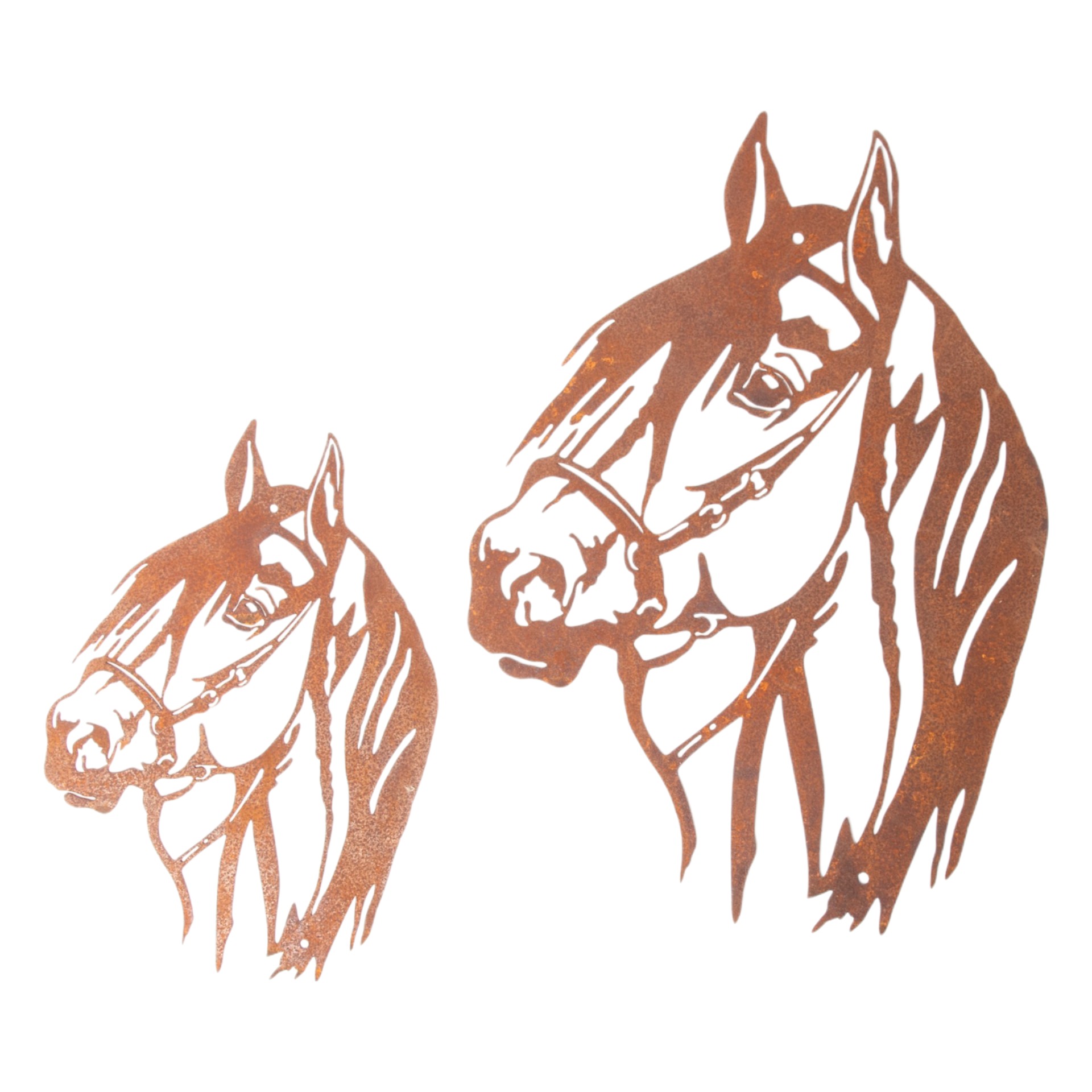 Darstellung von Pferdekopf gross