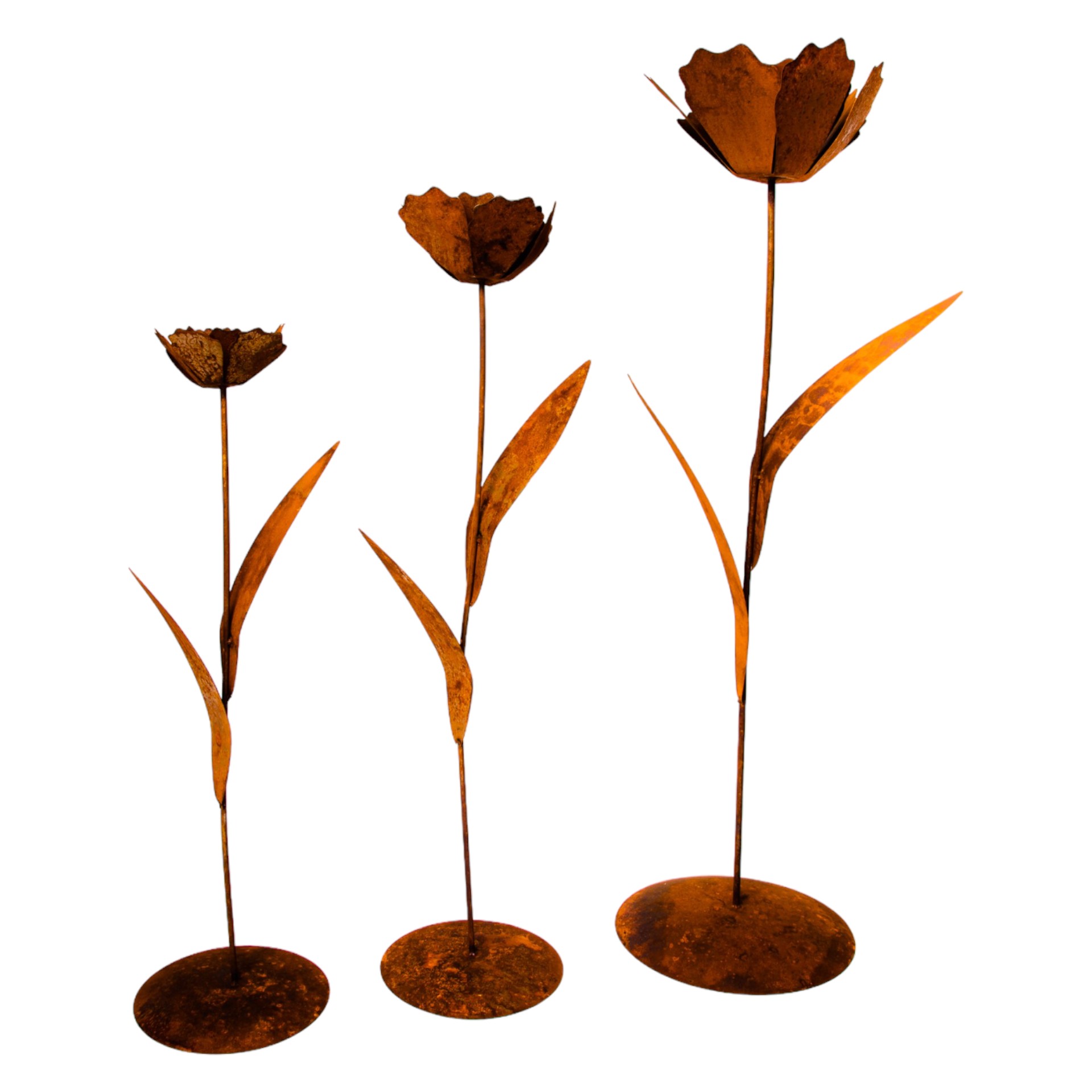 Darstellung von Rose mit 2 Blätter auf Platte gross