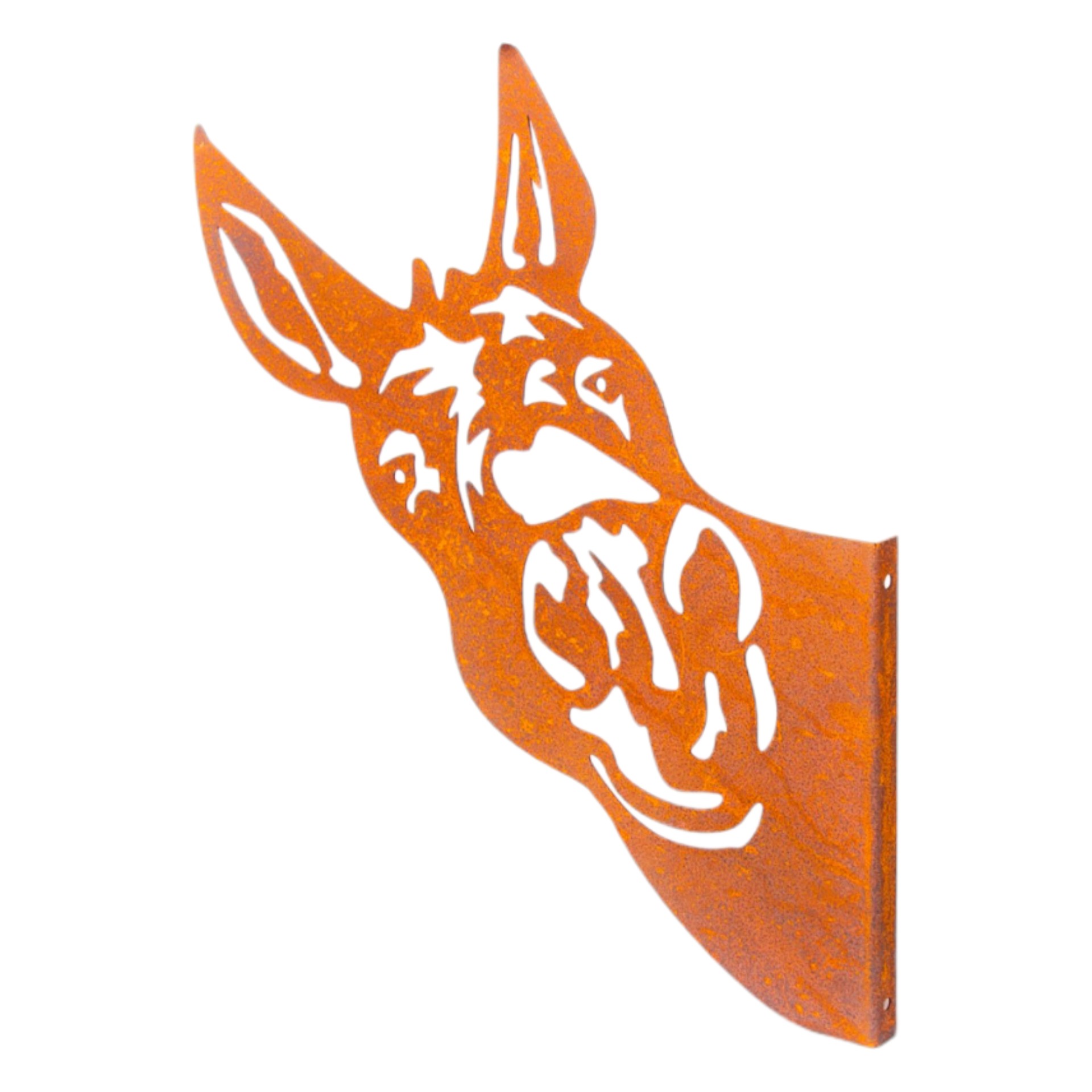 Darstellung von Eselkopf gross