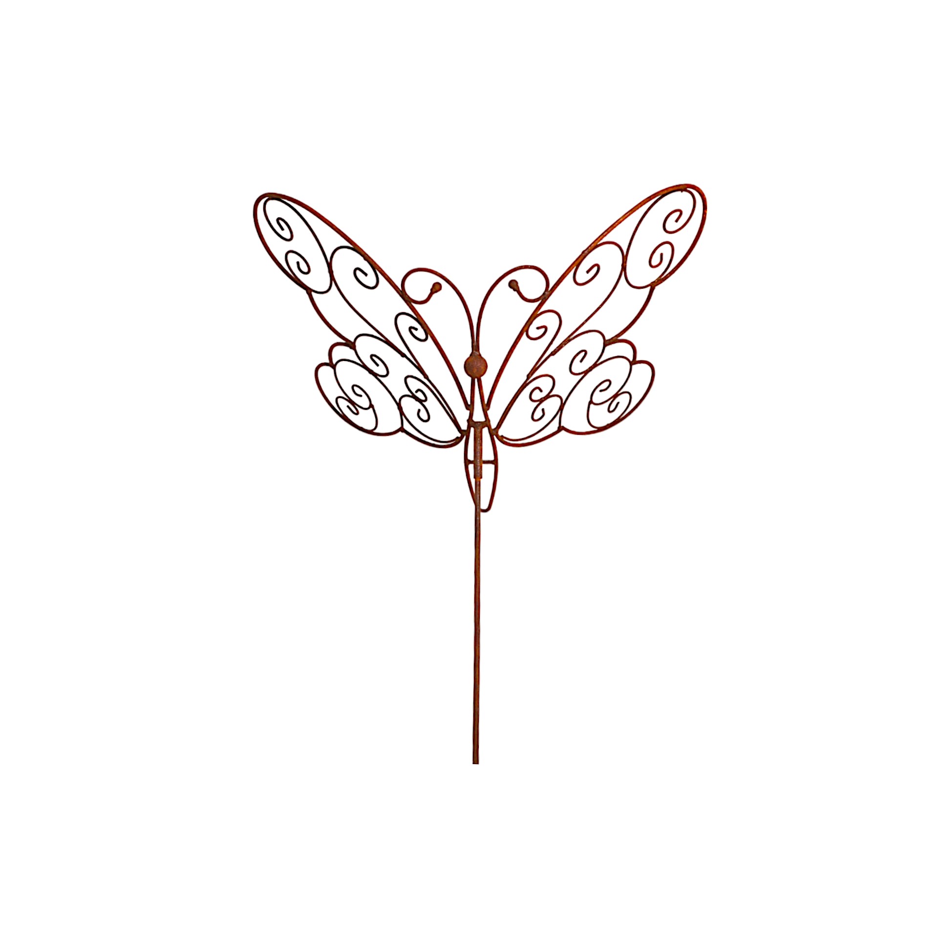 Darstellung von Schmetterling a. Stab 61 x 46 cm, 160 cm