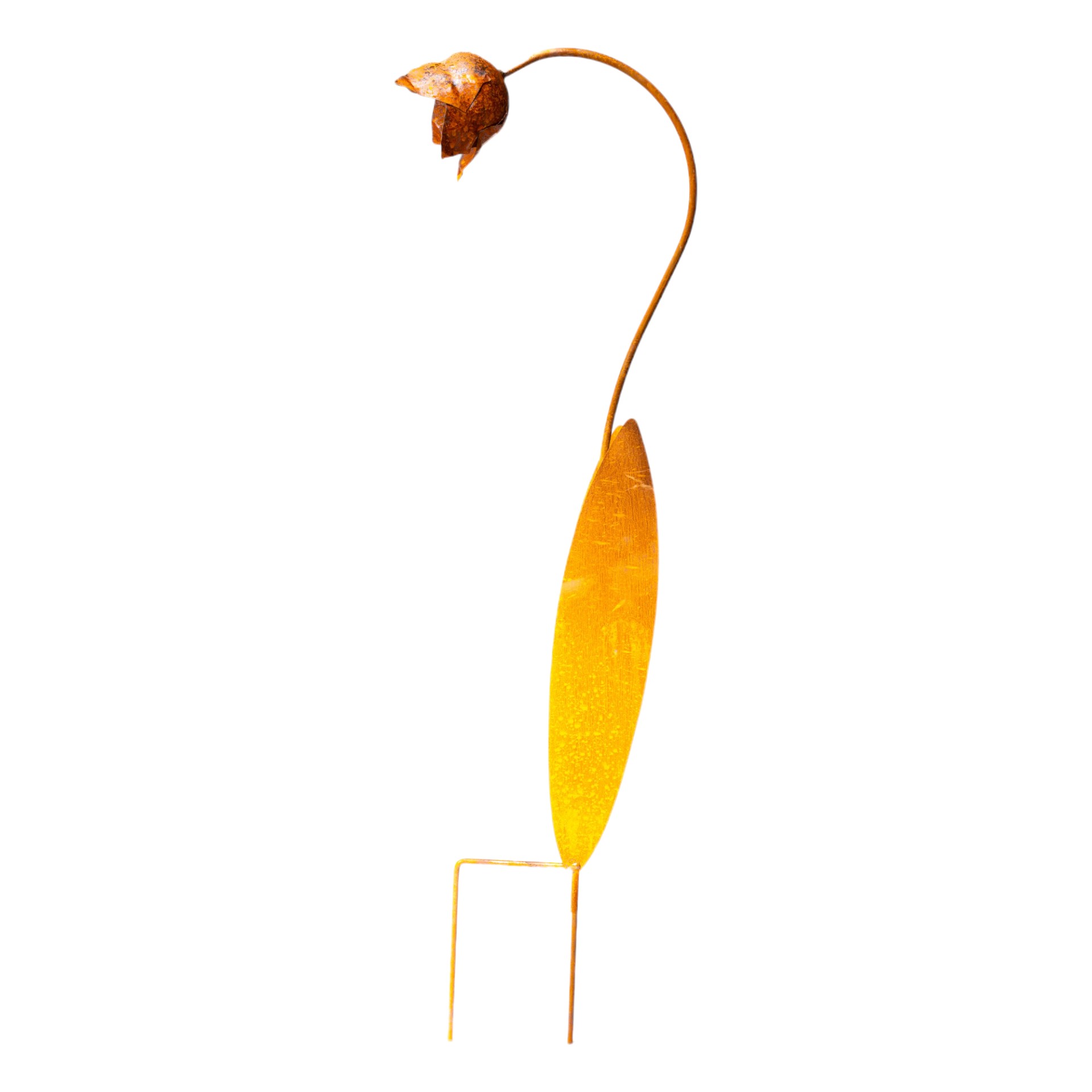 Darstellung von Glockenblume mi. 1 Blüte zum Stecken