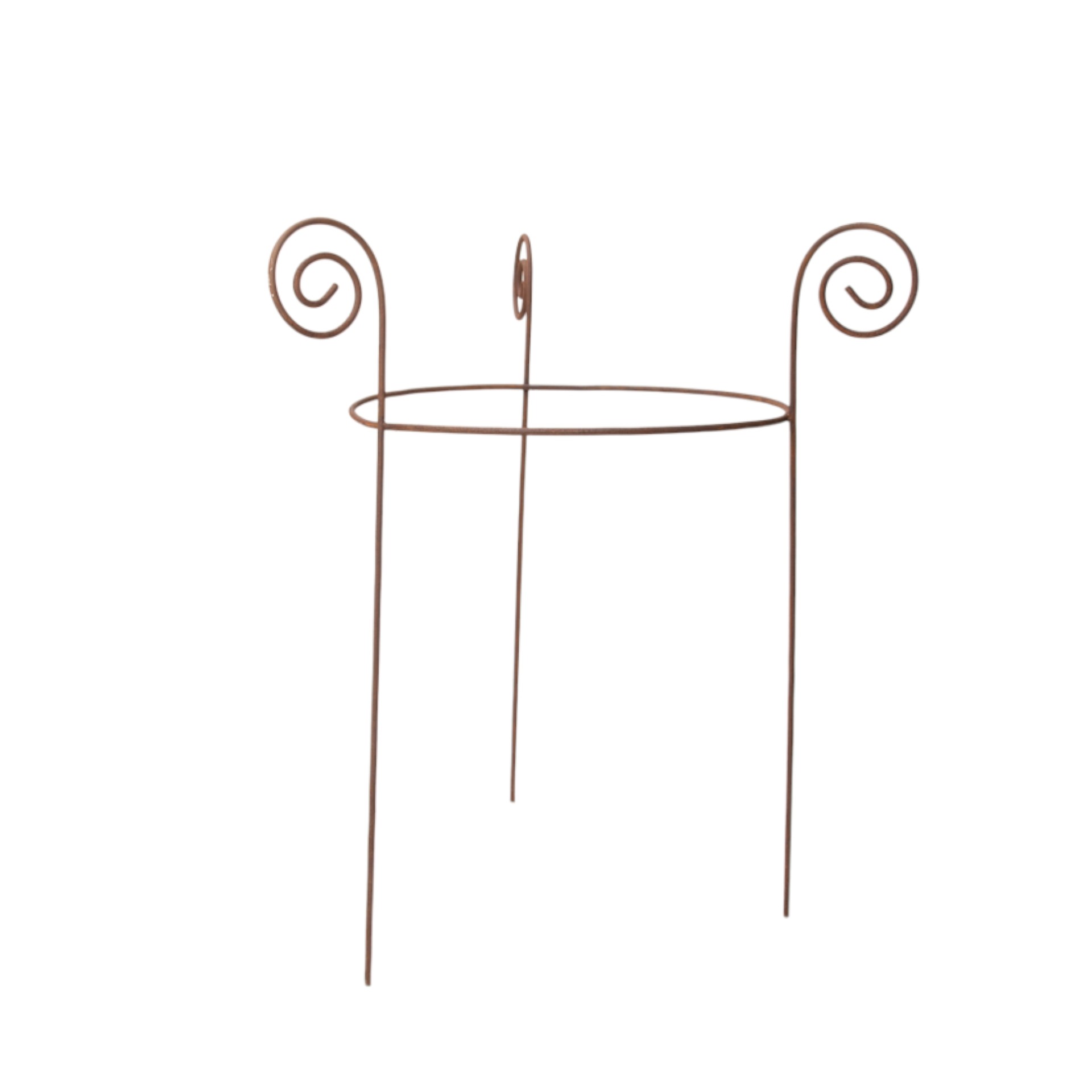 Darstellung von Staudenstütze klein Schnecke rost rund einfach