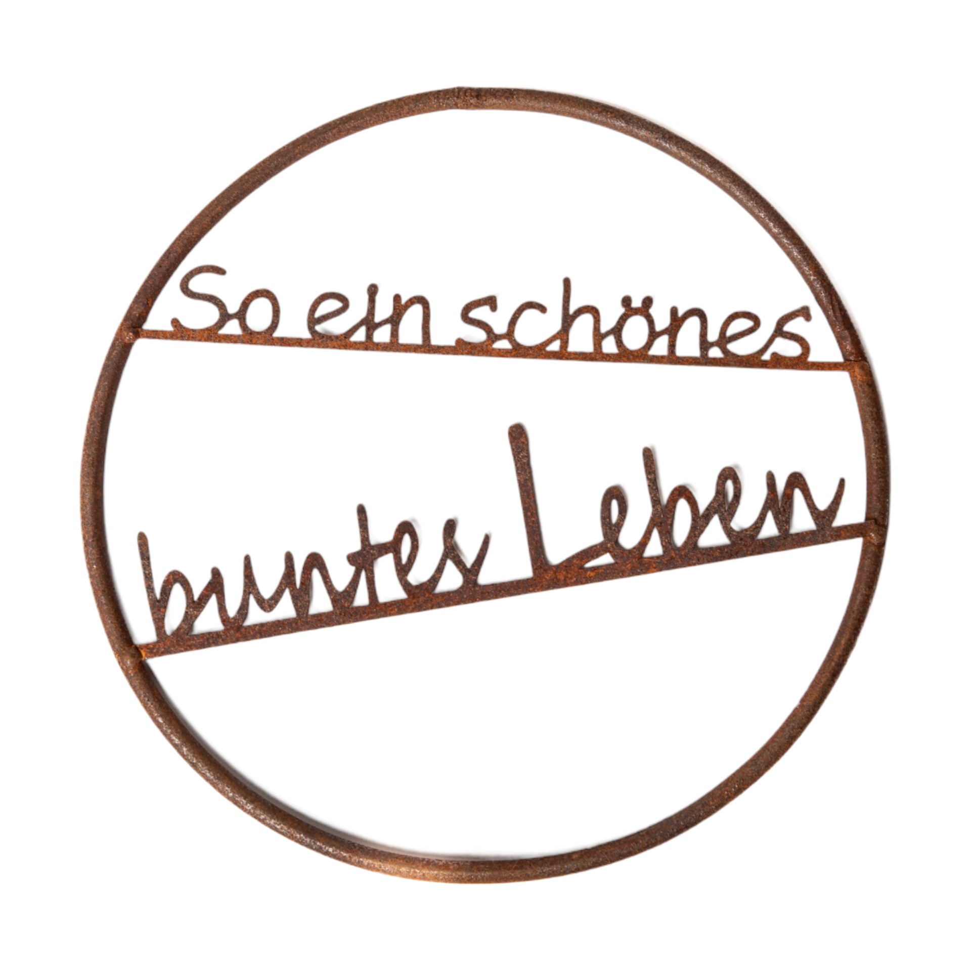 Darstellung von Drahtring mit so ein schönes buntes Leben