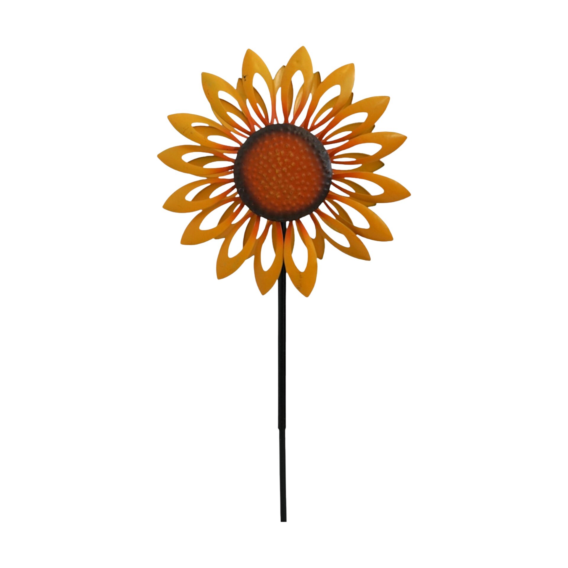 Darstellung von Duopropeller Sonnenblume klein