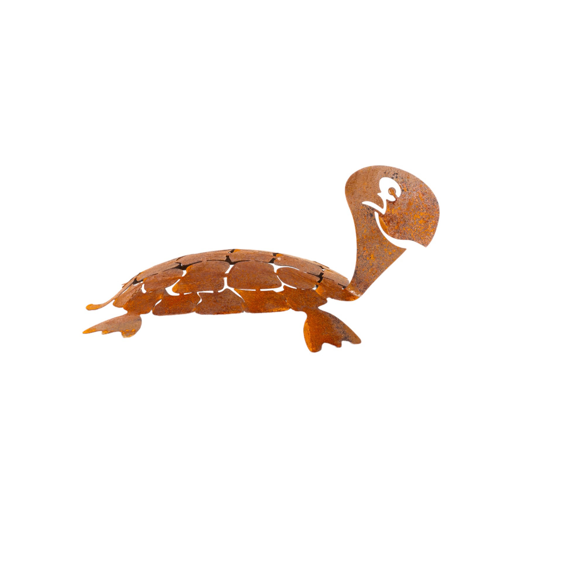 Darstellung von Schildkröte klein