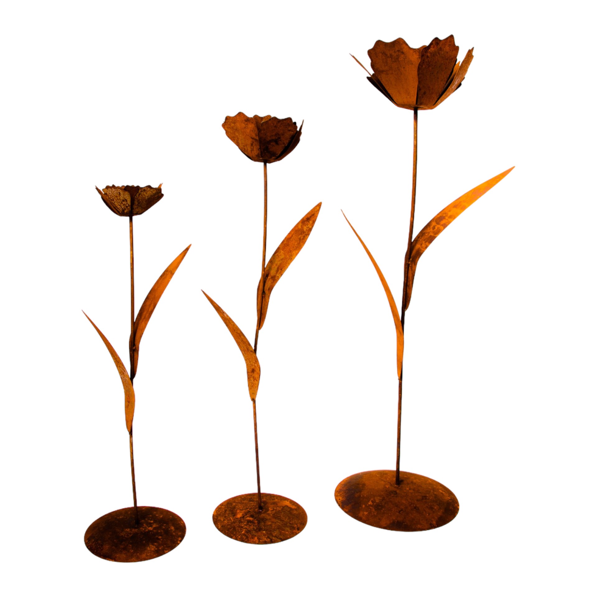 Darstellung von Rose mit 2 Blätter auf Platte mittel