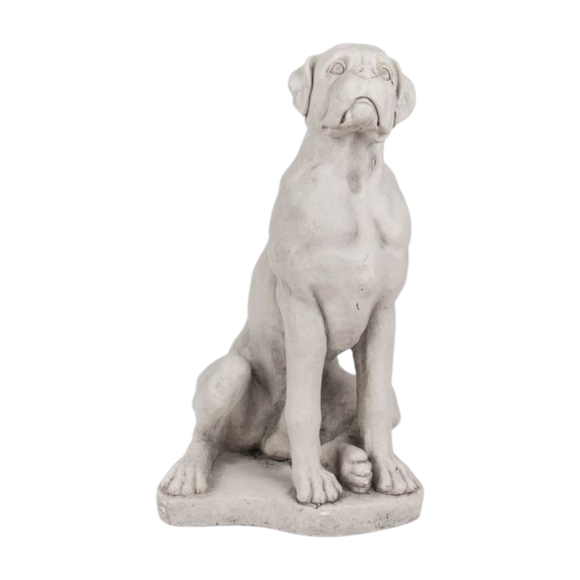 Darstellung von RP Boxer puppy sitzend creme 60,5 cm
