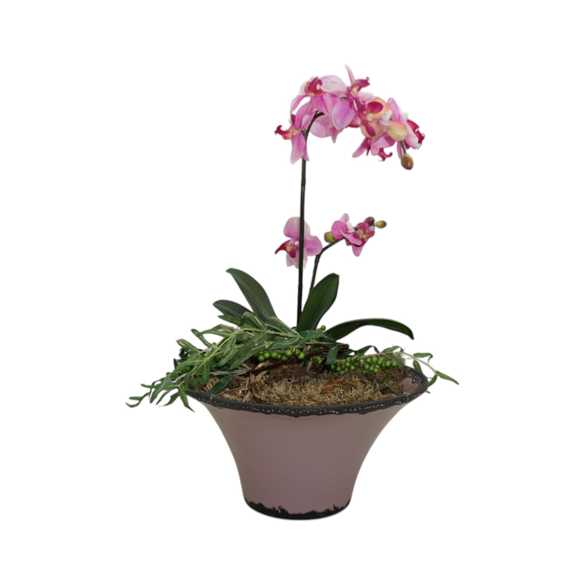 Darstellung von RP Schale FLIEDER 27x14 cm