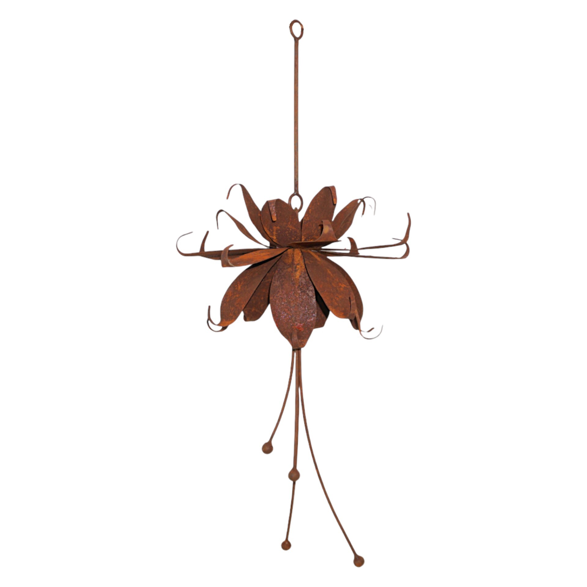 Darstellung von hängende Fuchsia gross