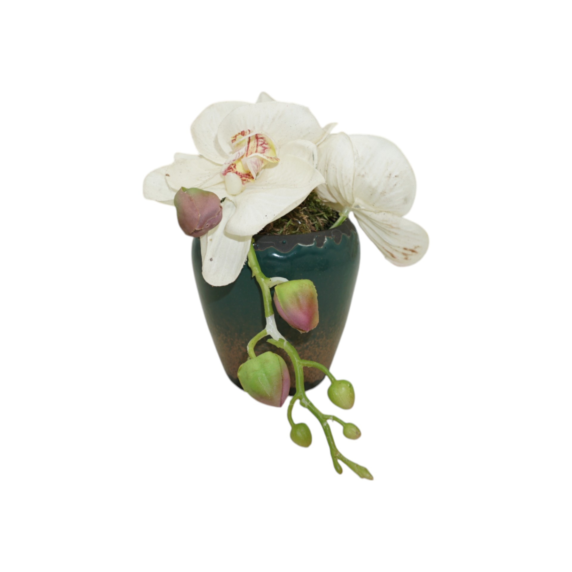 Darstellung von RP TONDA mini BLAU GRÜN/BRAUN 9x9 cm