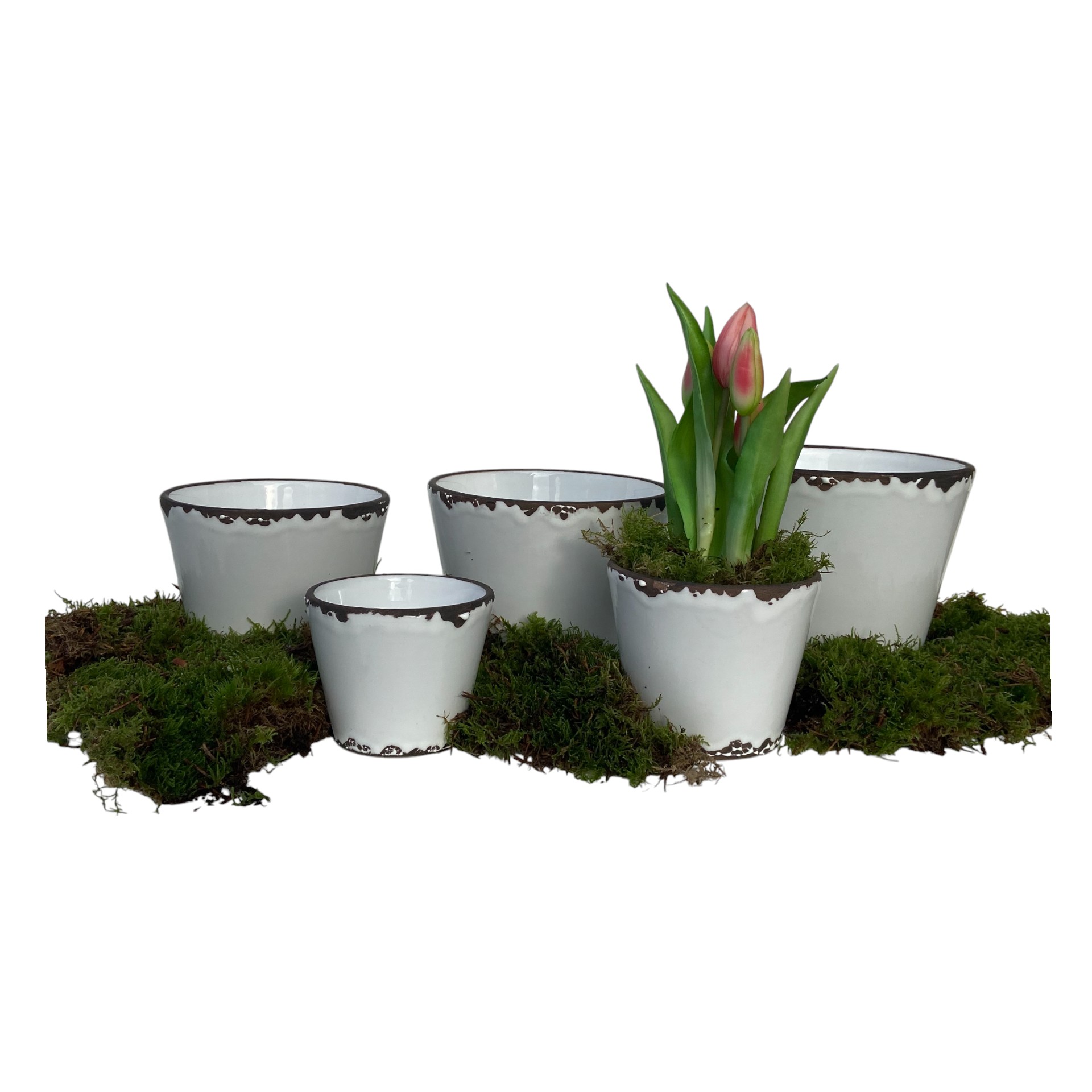 Darstellung von RP Topf Flora WEISS 19x15,5 cm