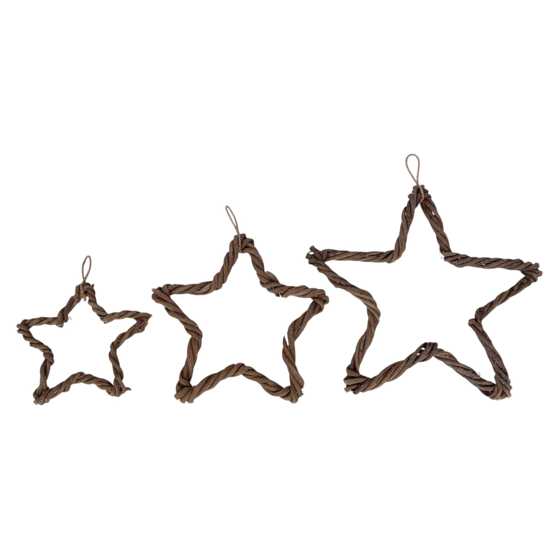 Darstellung von Weidenstern mittel einfach