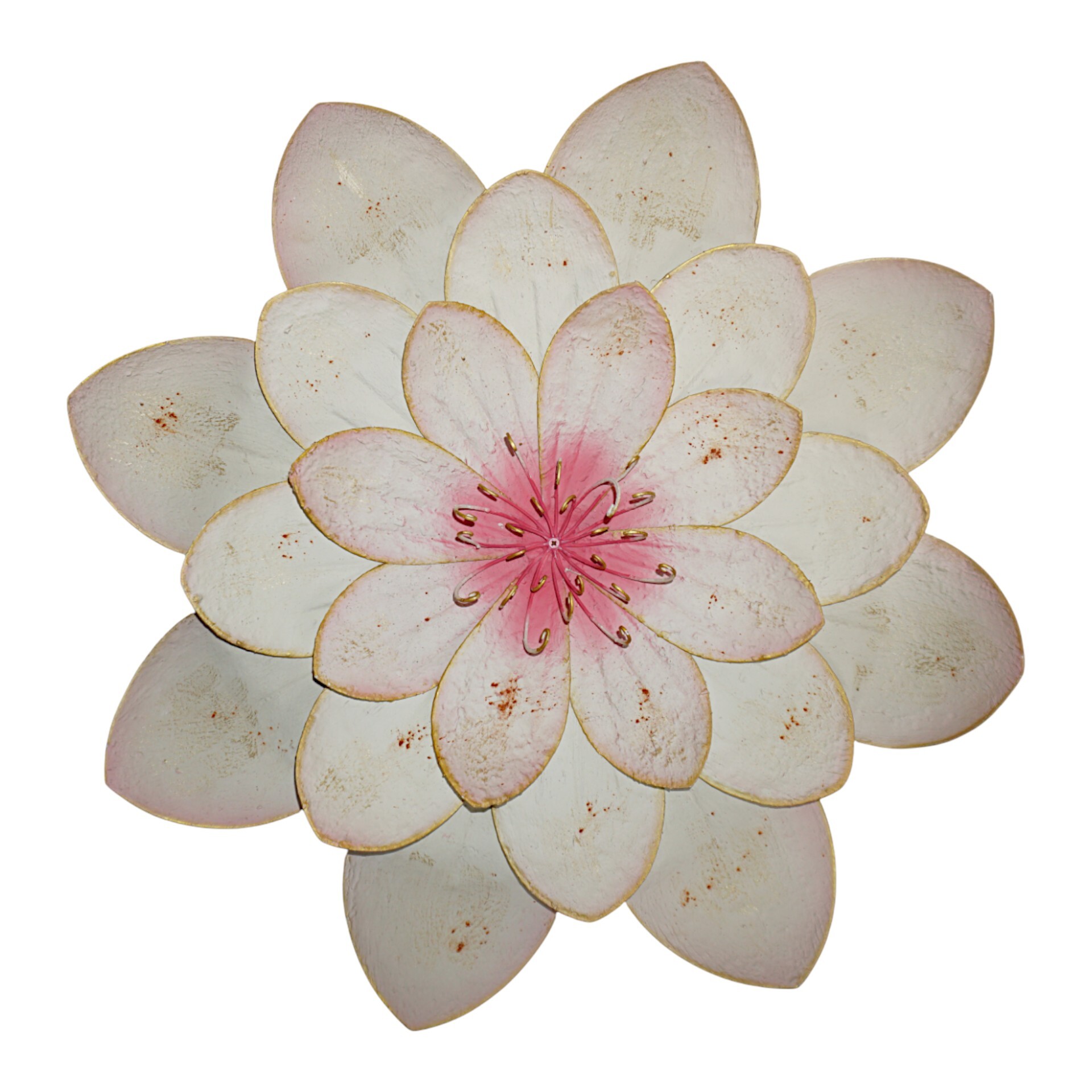 Darstellung von Blume XXL 3fach weiss lovely