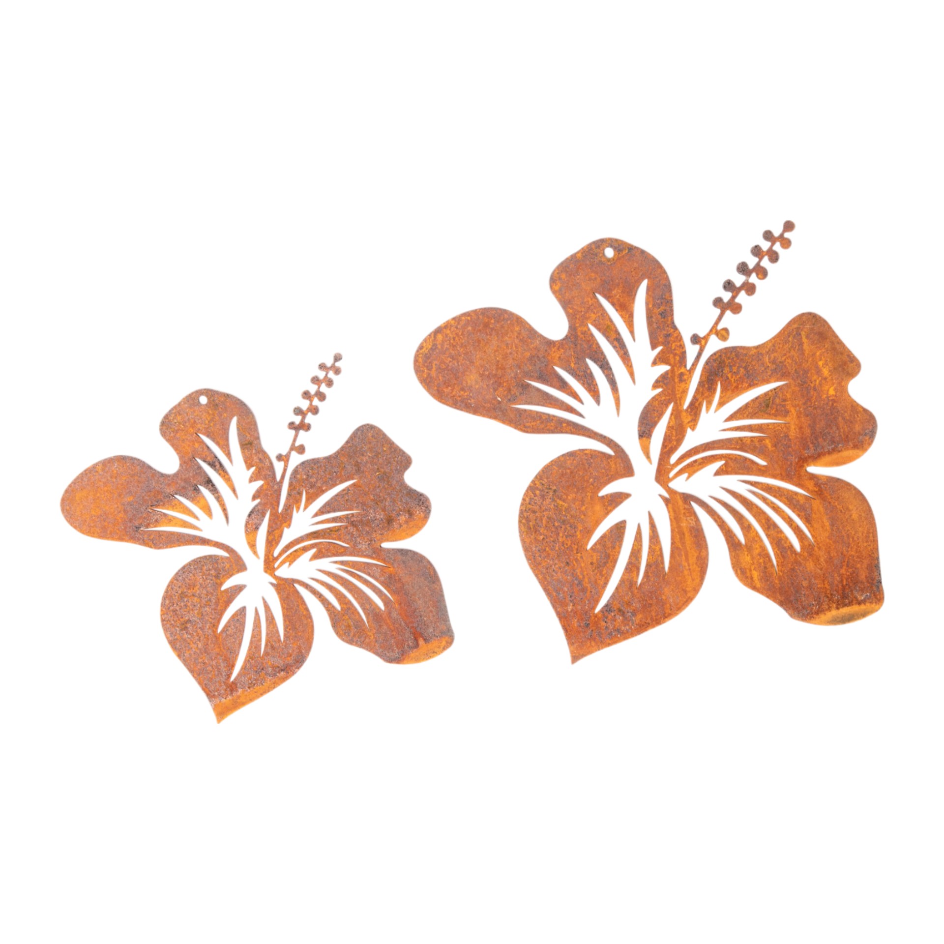 Darstellung von Hibiskus klein zum Hängen