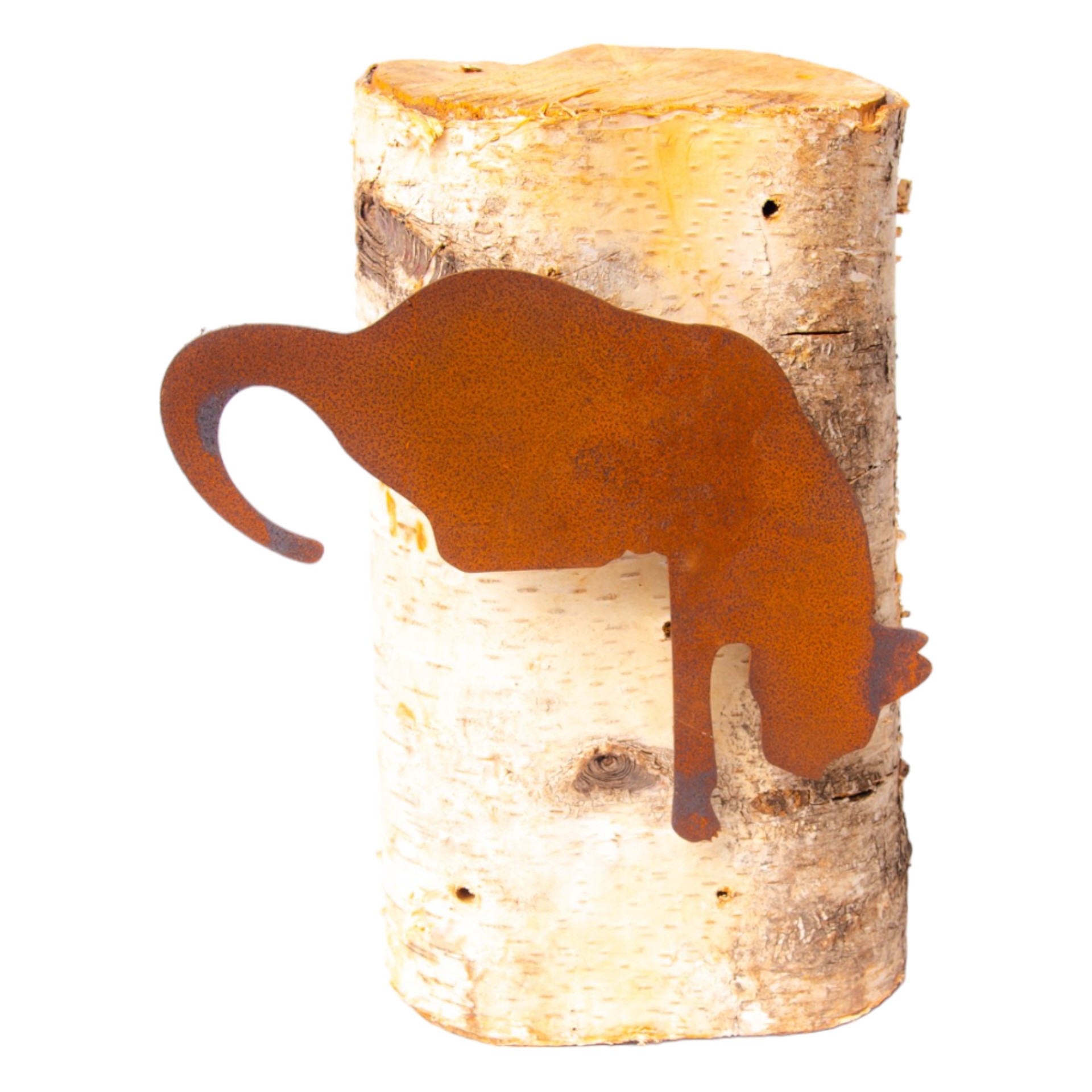 Darstellung von Katze nach unten Hängen