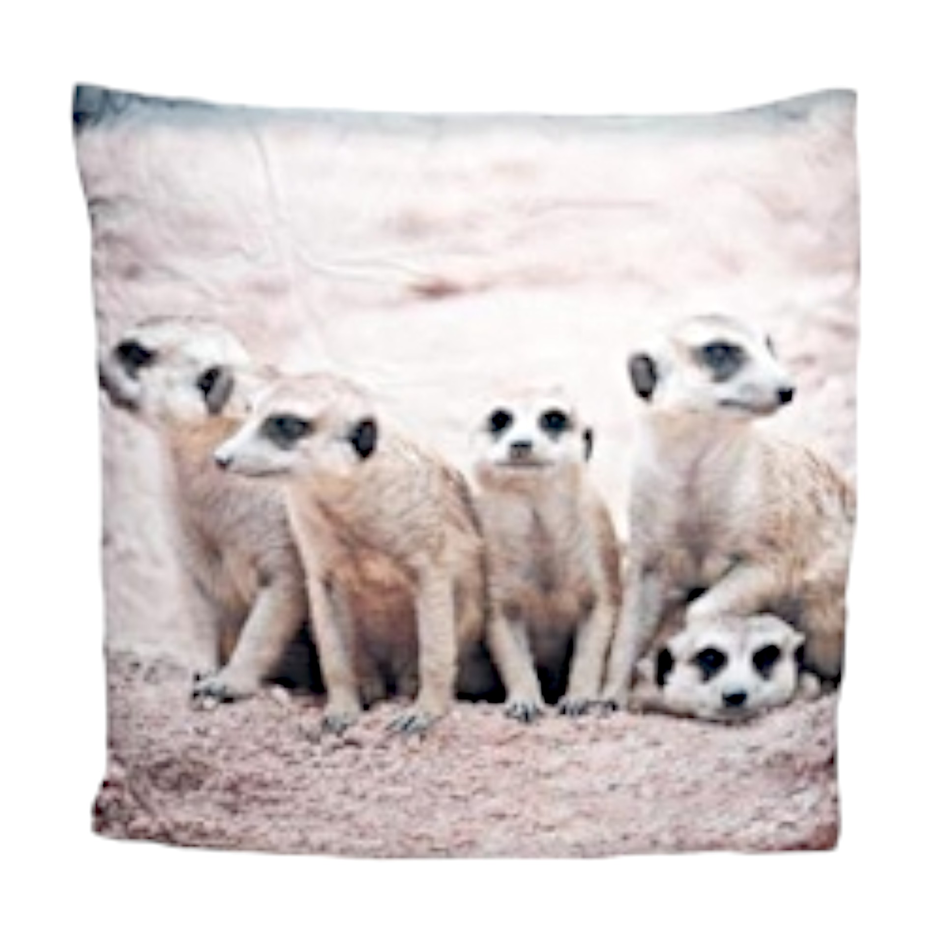 Darstellung von RP Polster Erdmännchen 60x60 cm