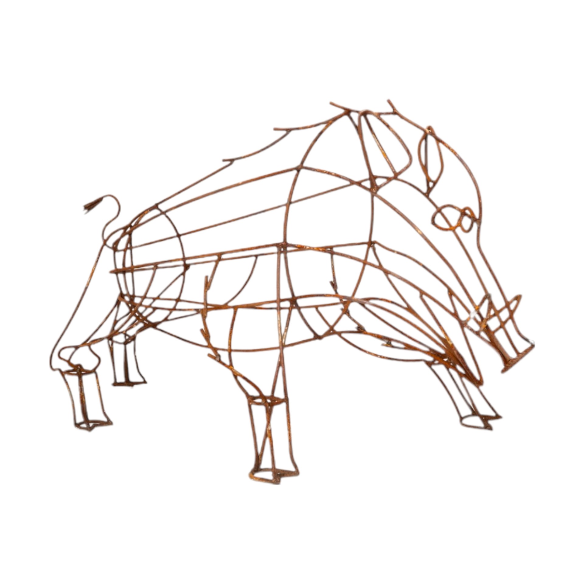 Darstellung von HOT Drahtwildschwein stehend