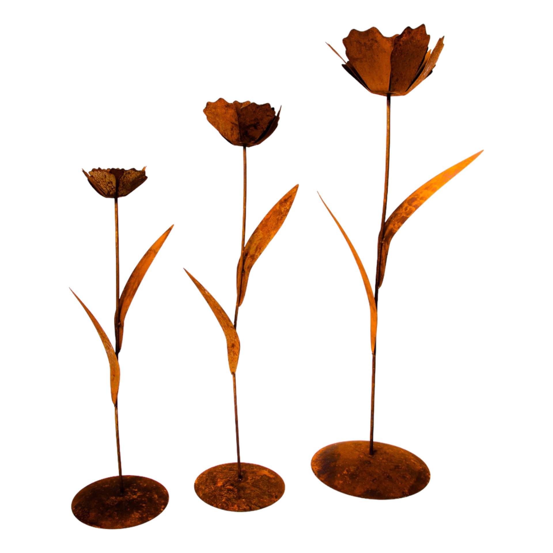 Darstellung von Rose klein auf Platte mit 2 Blätter