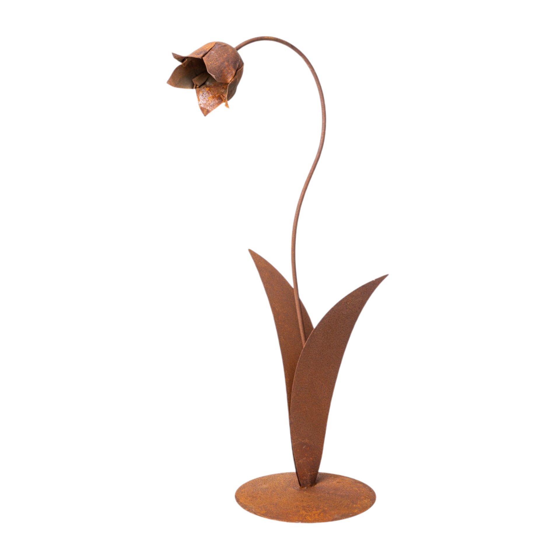 Darstellung von Glockenblume klein 1 Blüte auf Platte